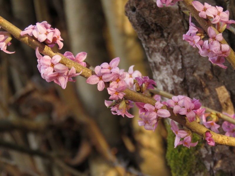 Valokuvaaja: Liisa Johansson