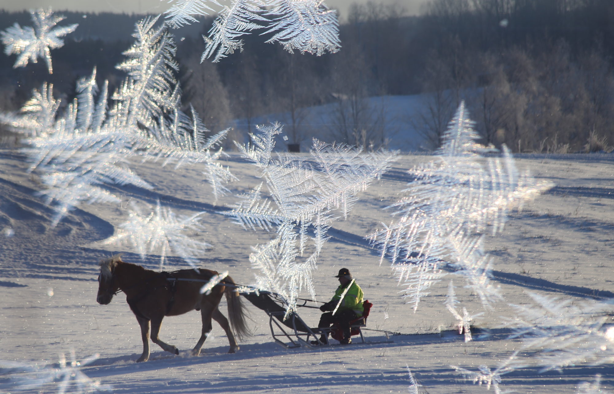 Valokuvaaja: Raija Kokkola