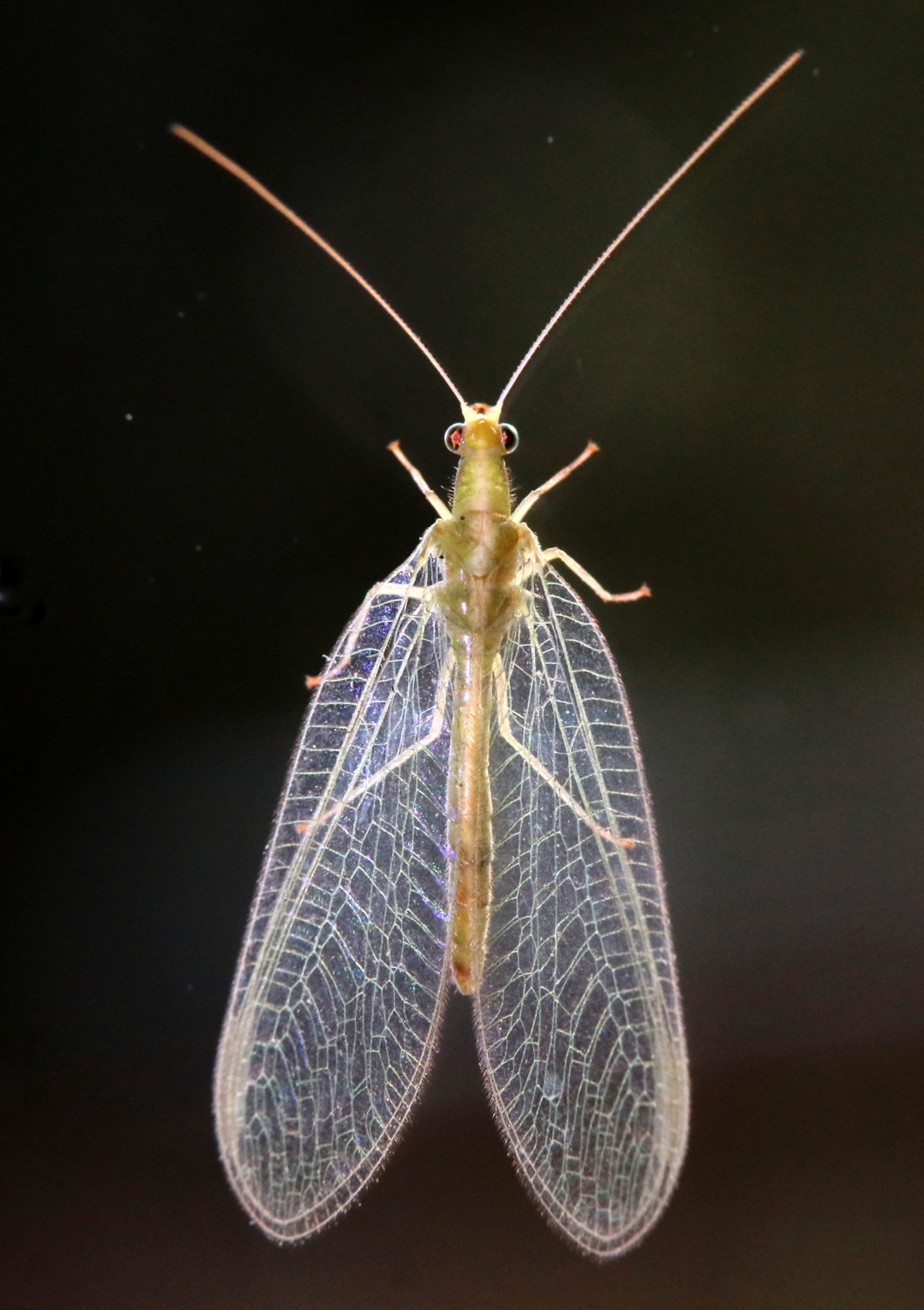 Valokuvaaja: Hannu. Rasiranta