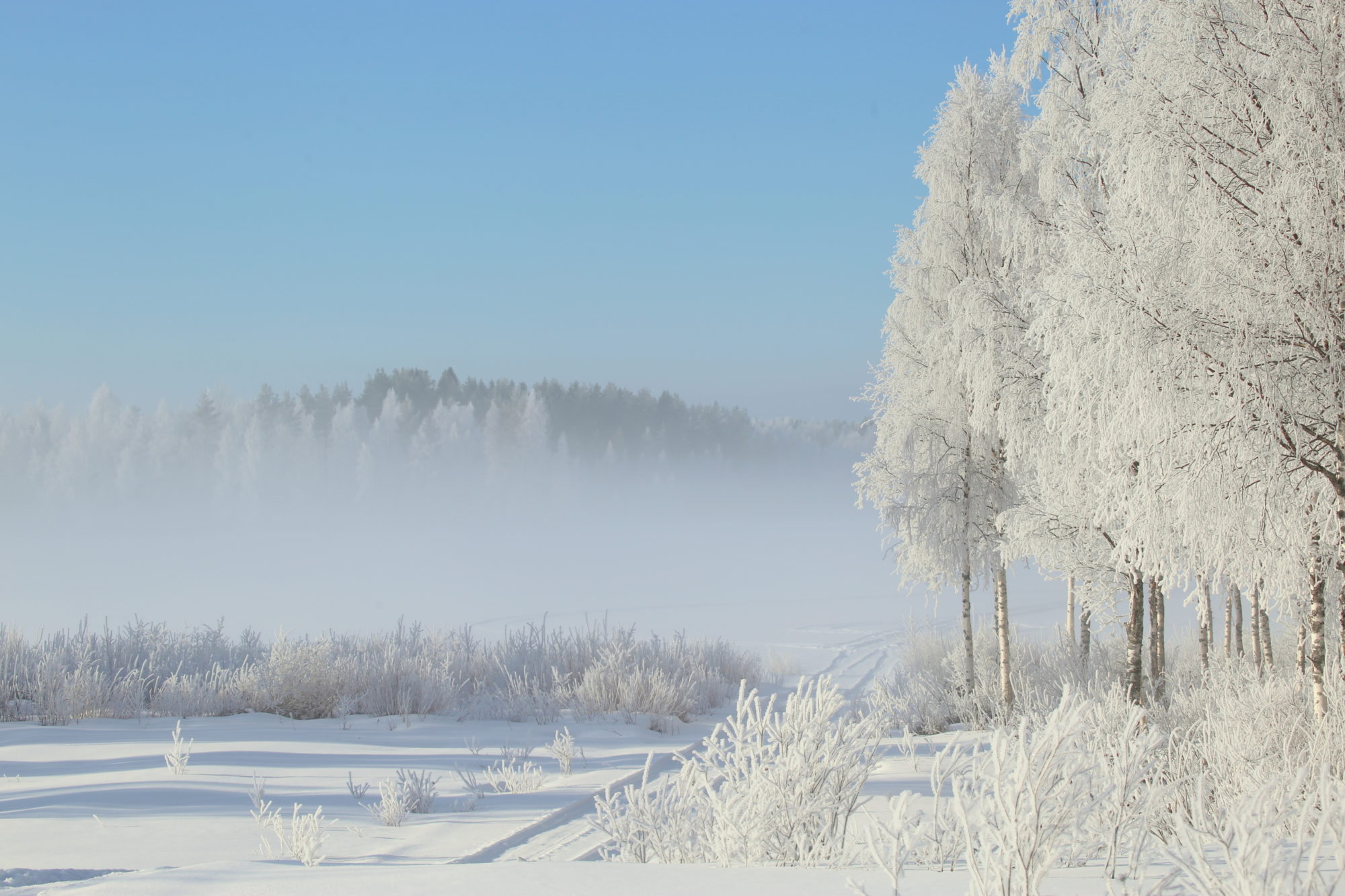 Valokuvaaja: Raija Kokkola Valokuvaaja: Raija Kokkola