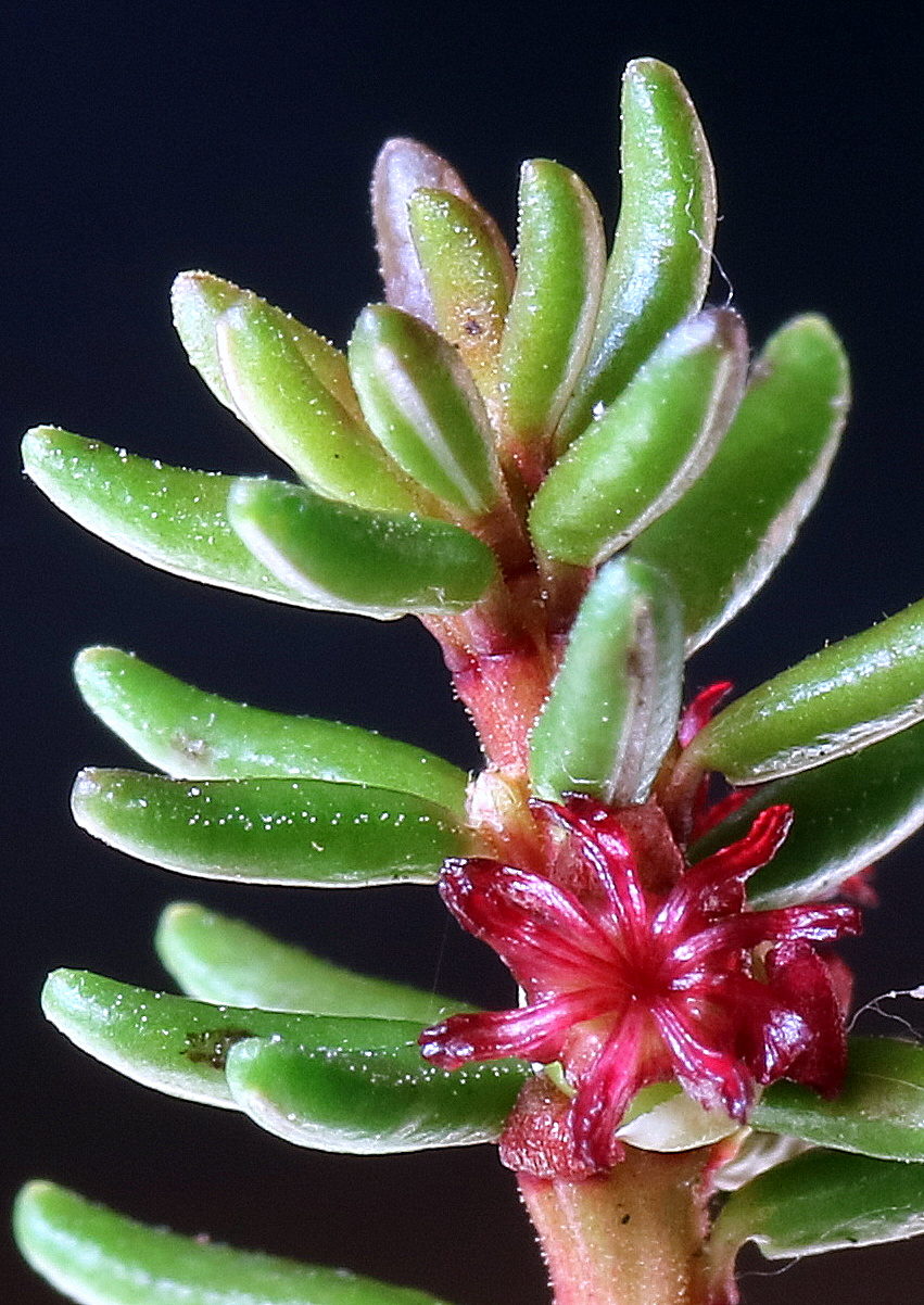 Valokuvaaja: Hannu. Rasiranta