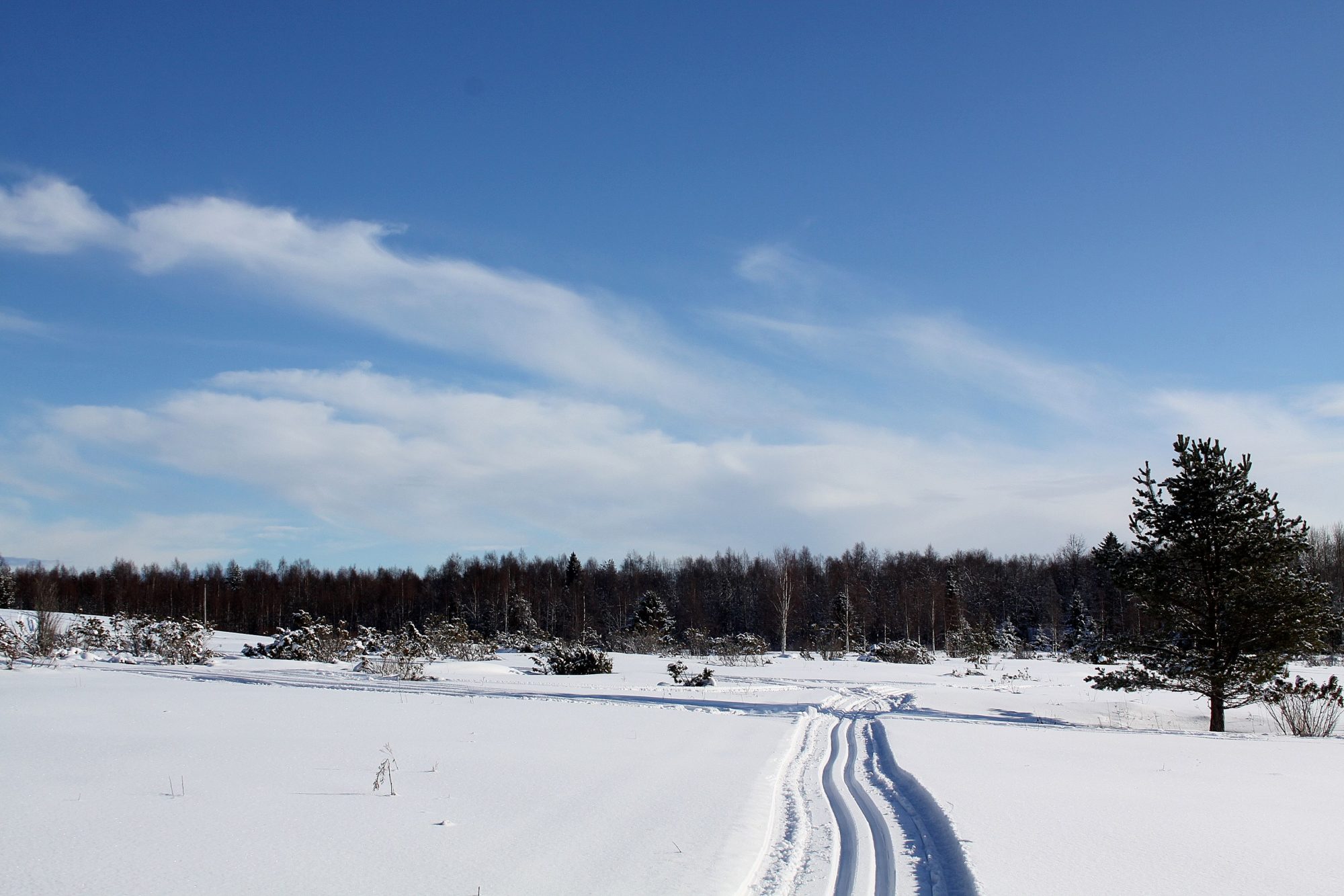 Valokuvaaja: Pirkko Siukonen