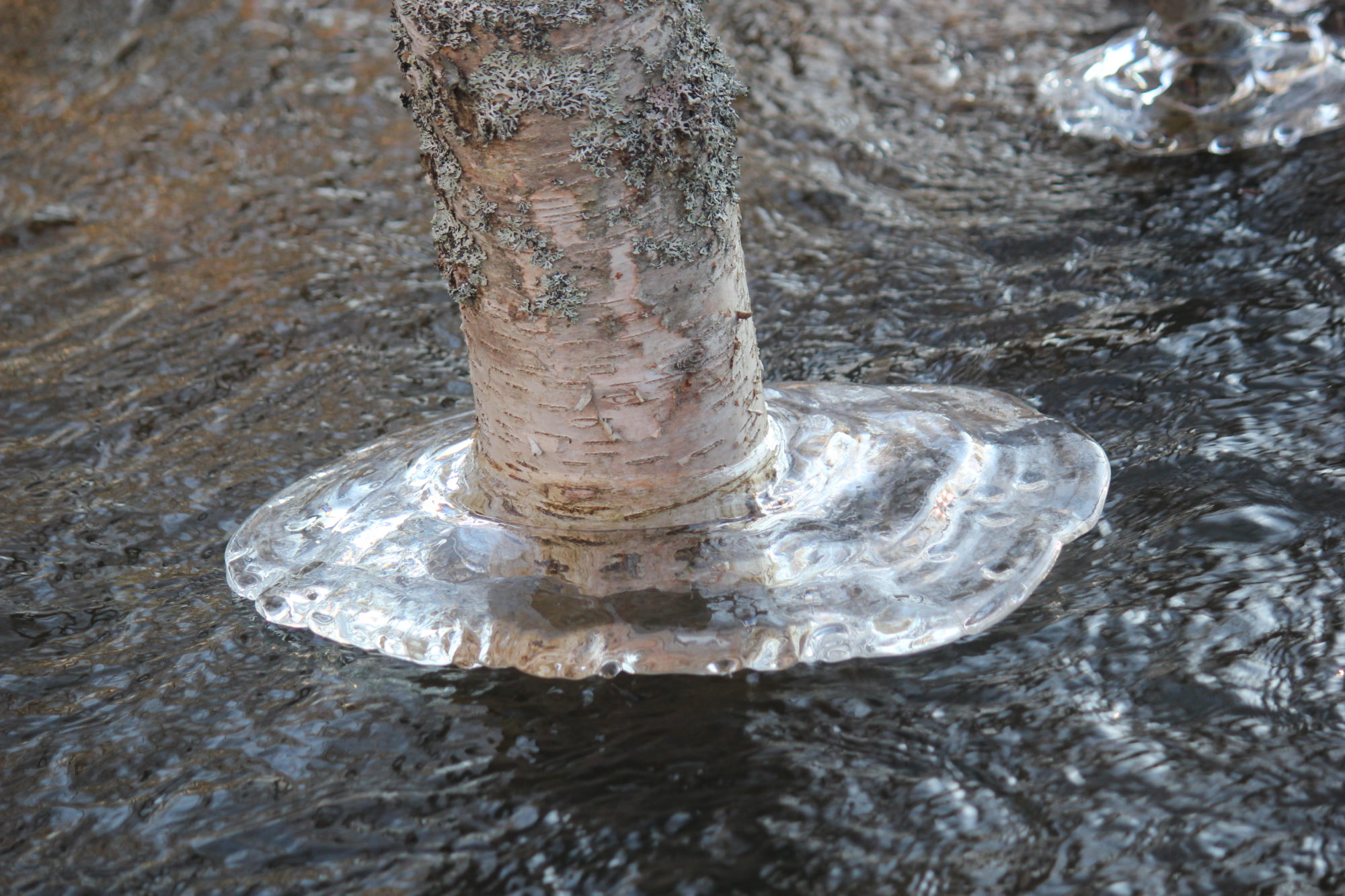 Valokuvaaja: Linnea Lehmuskoski