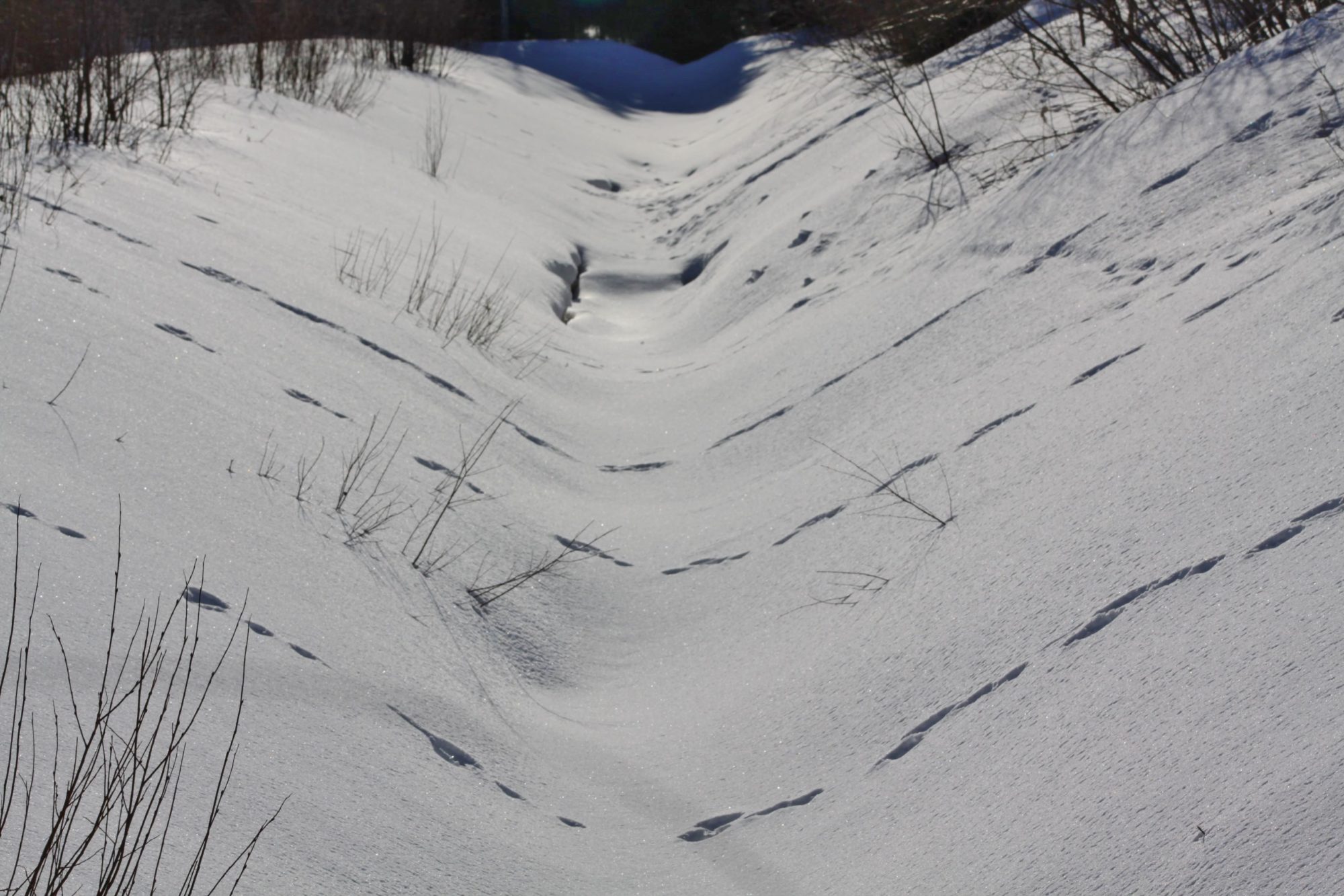 Valokuvaaja: Pirkko Siukonen