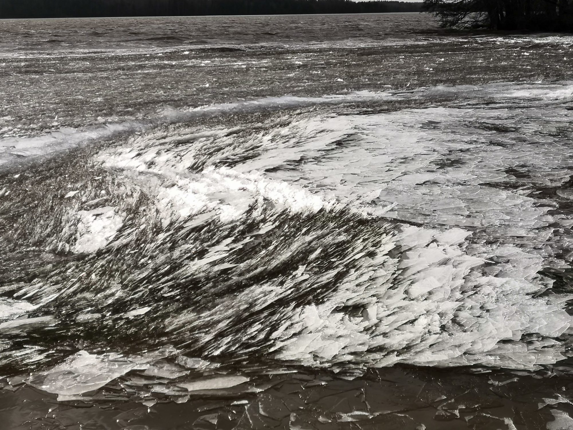 Valokuvaaja: Mari Ahtola