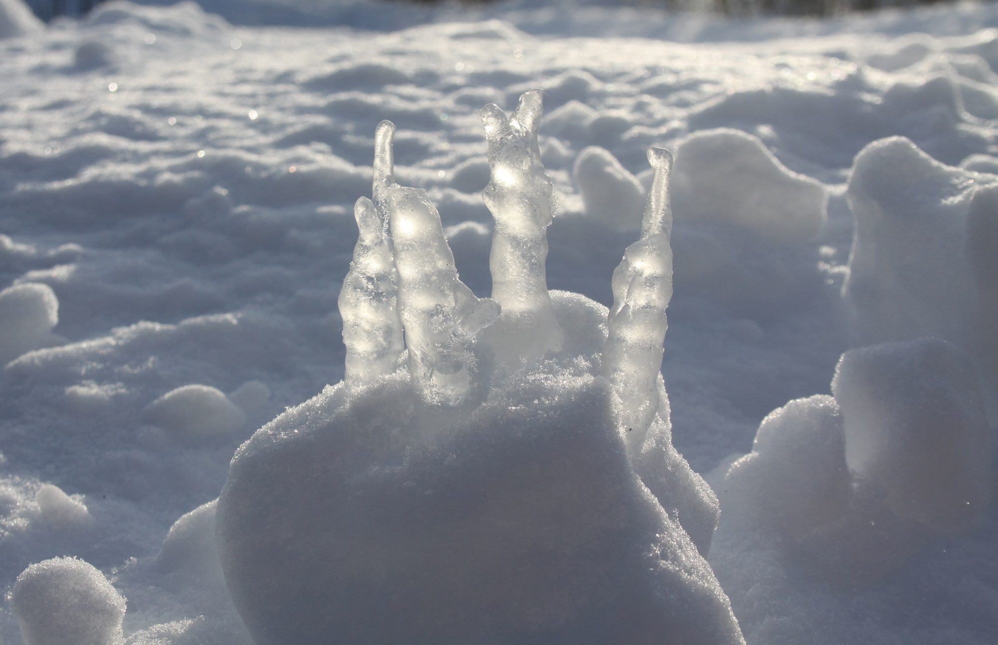 Valokuvaaja: Pirkko Siukonen