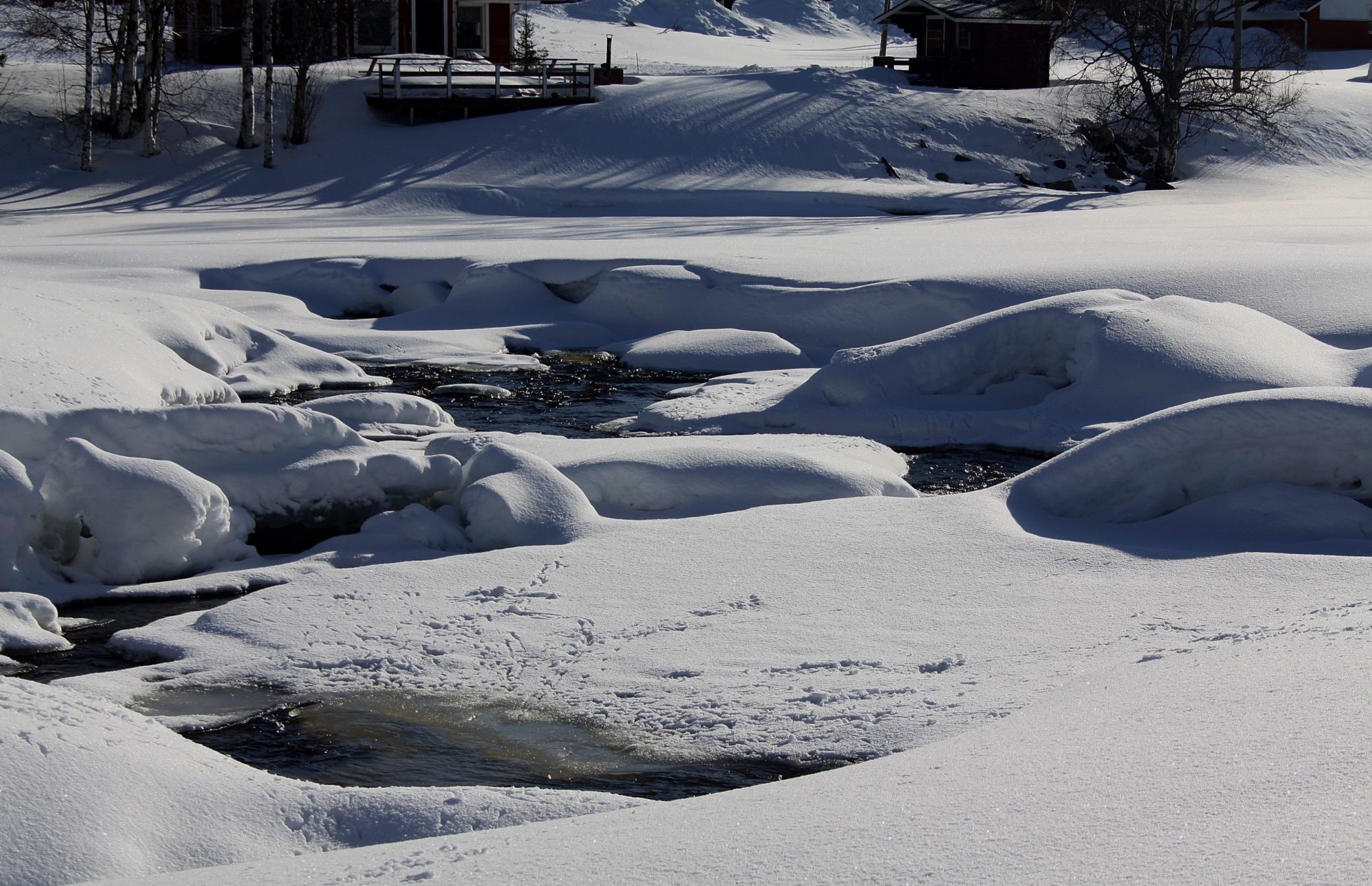 Valokuvaaja: Pirkko Siukonen