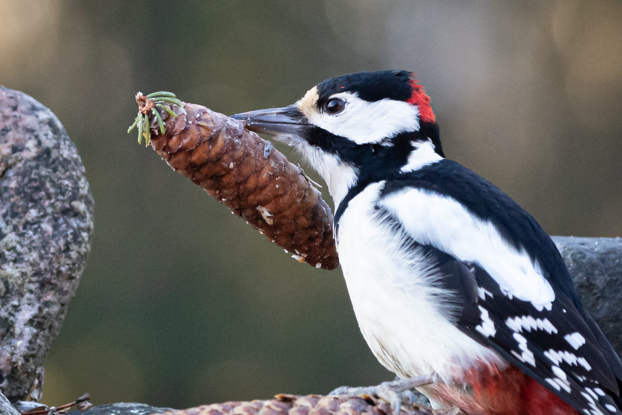 Valokuvaaja: Harrim Luojus Valokuvaaja: Harrim Luojus
