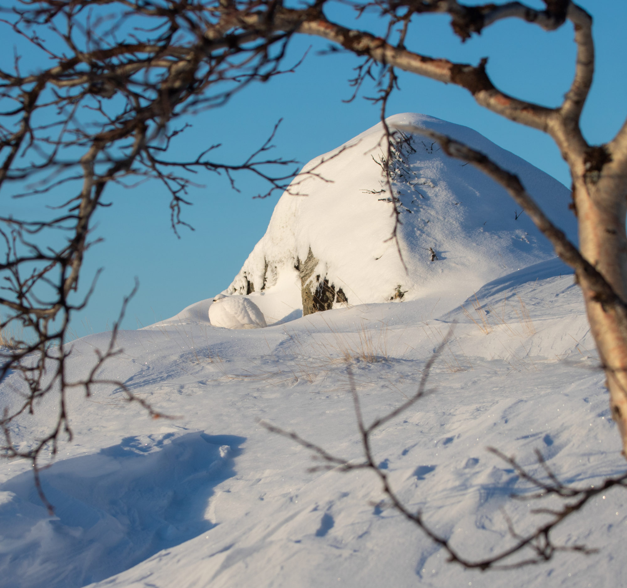 Valokuvaaja: Katri Niskanen