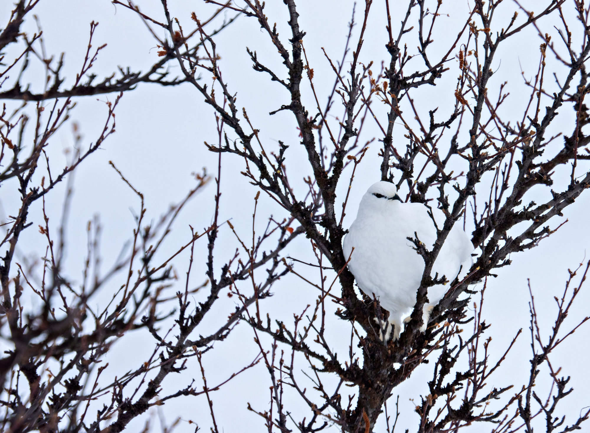 Valokuvaaja: Katri Niskanen