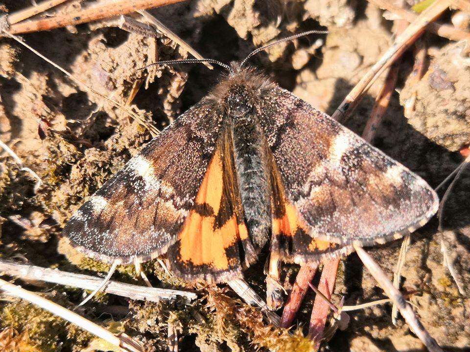 Valokuvaaja: Mari Ahtola