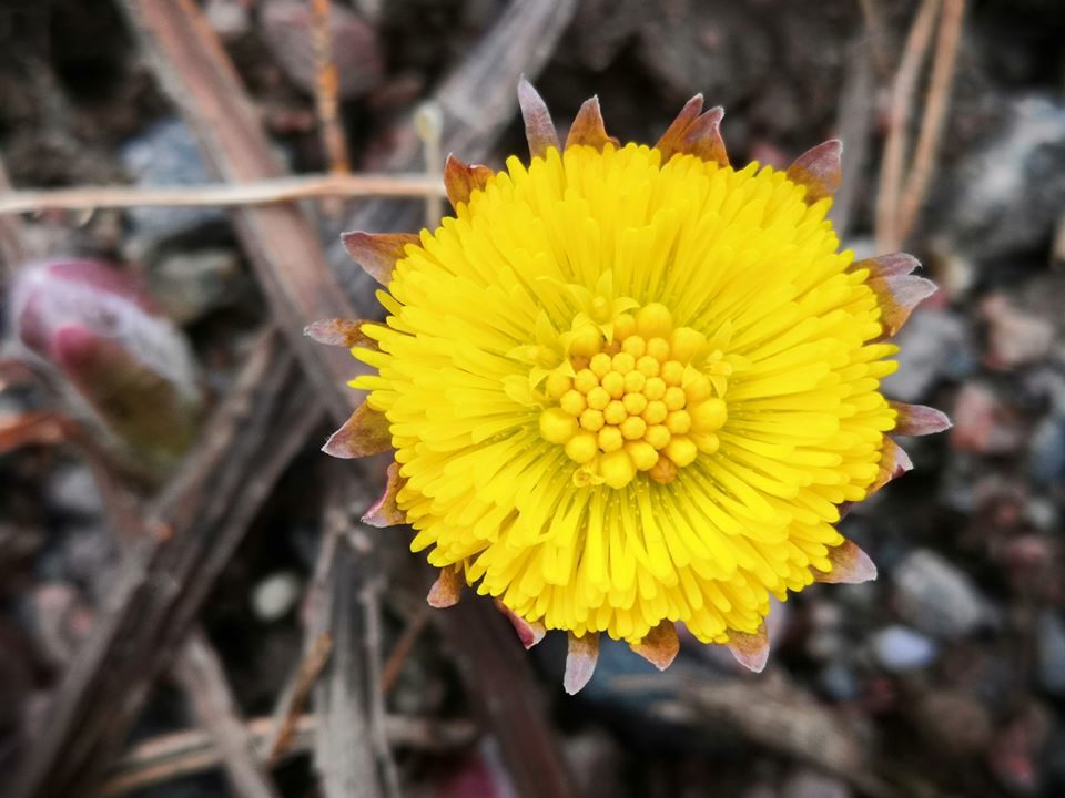 Valokuvaaja: Mari Ahtola