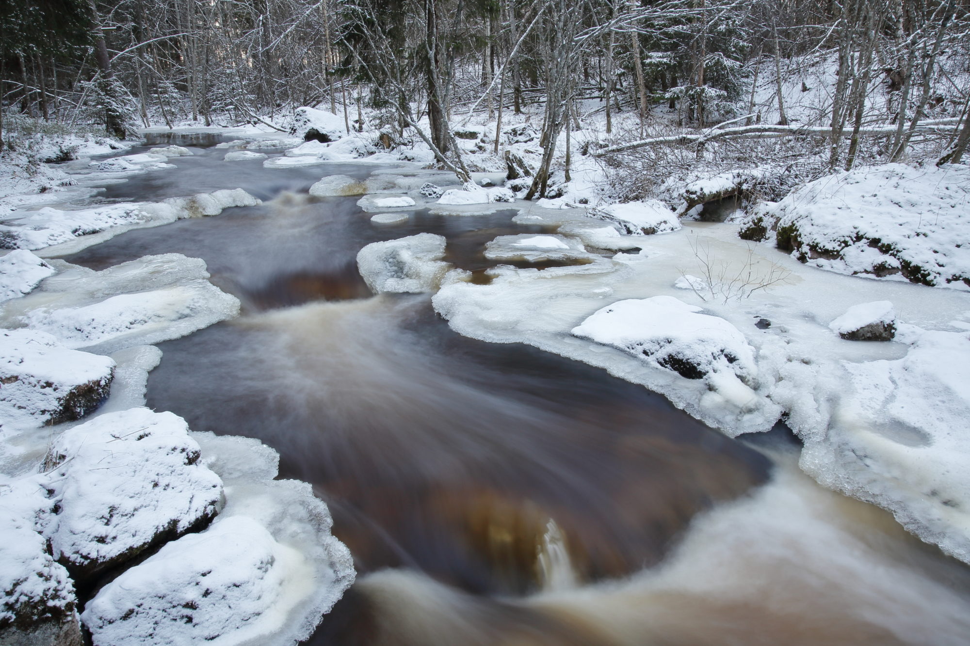 Valokuvaaja: Lasse Kokko