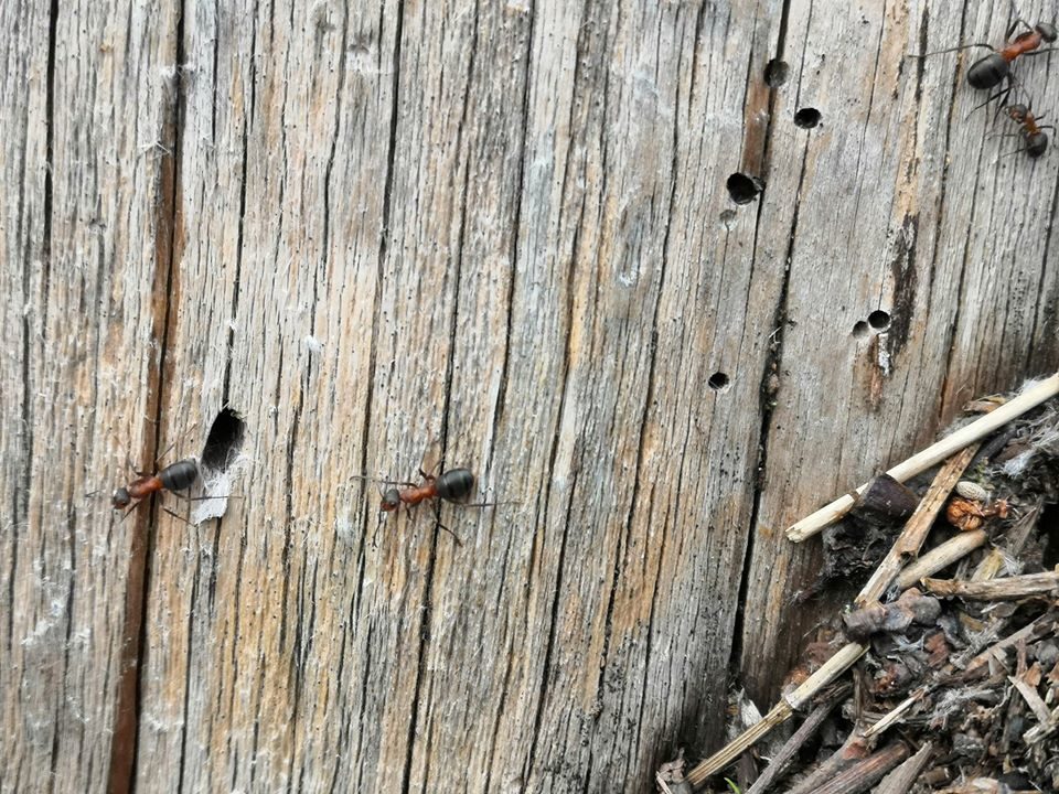 Valokuvaaja: Mari Ahtola