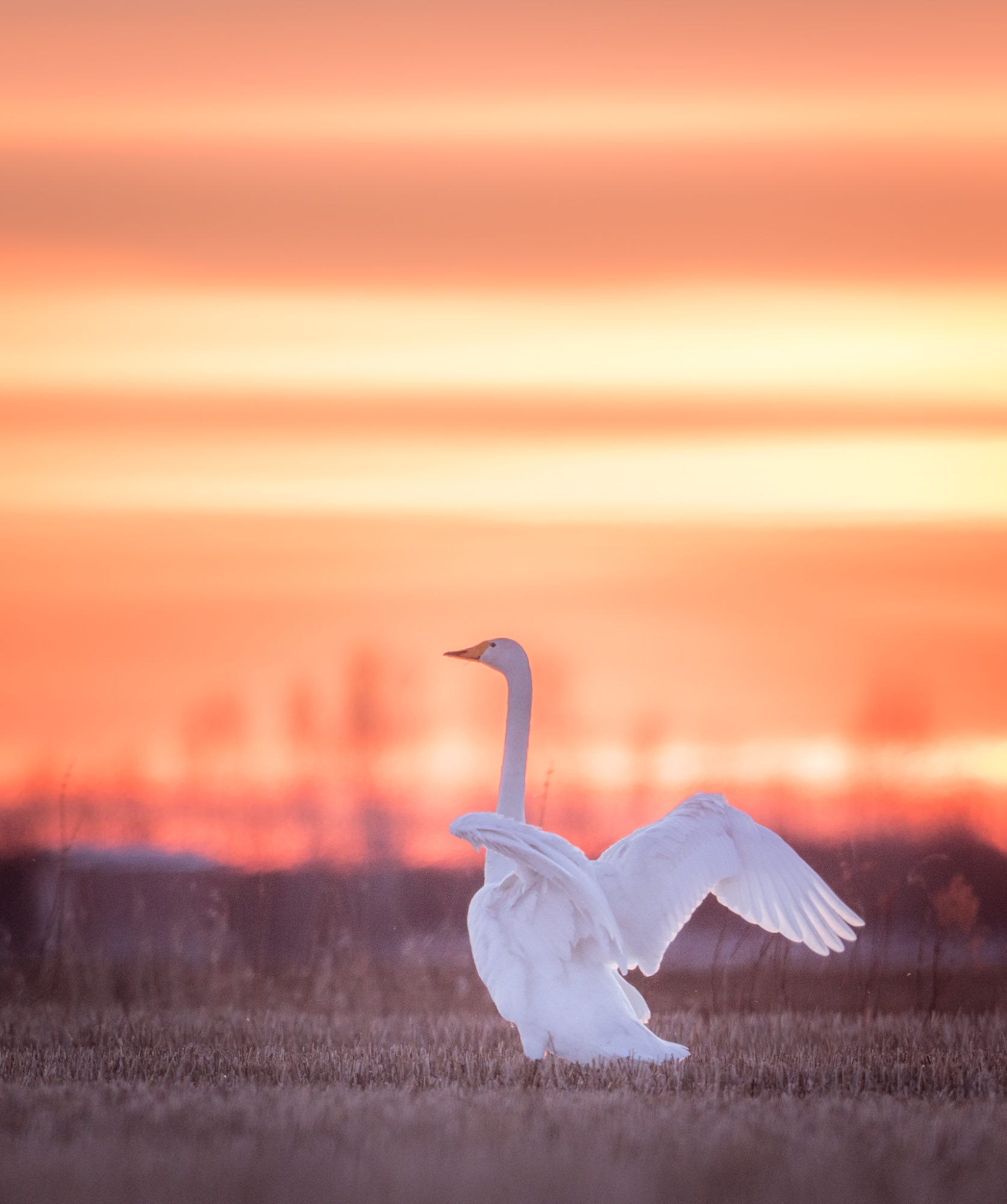 Valokuvaaja: Jukka Risikko
