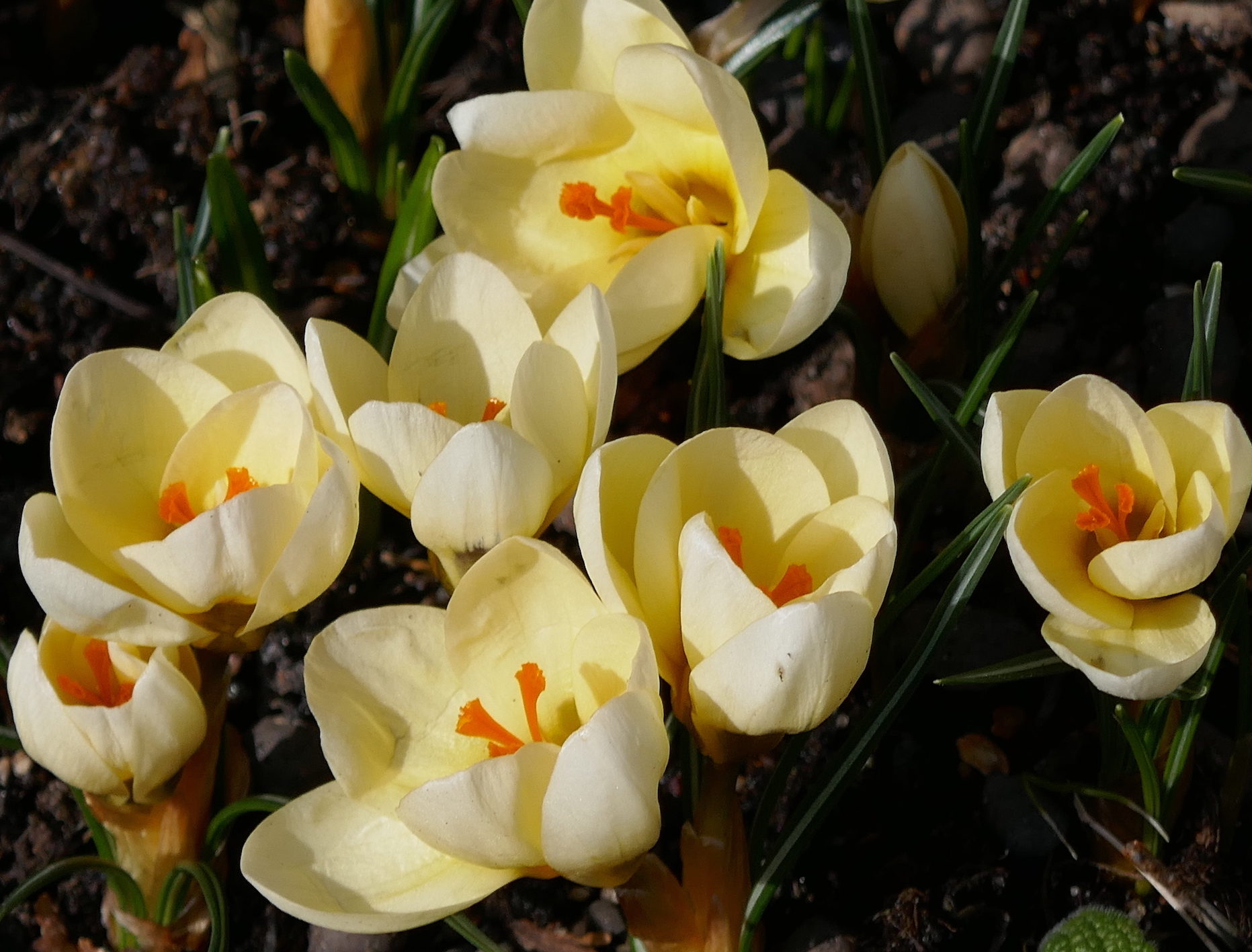 Valokuvaaja: Marjut Ikonen