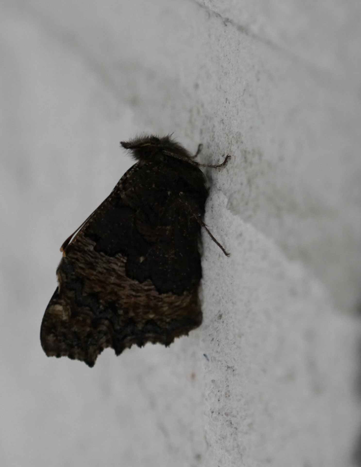 Valokuvaaja: Marjut Ikonen