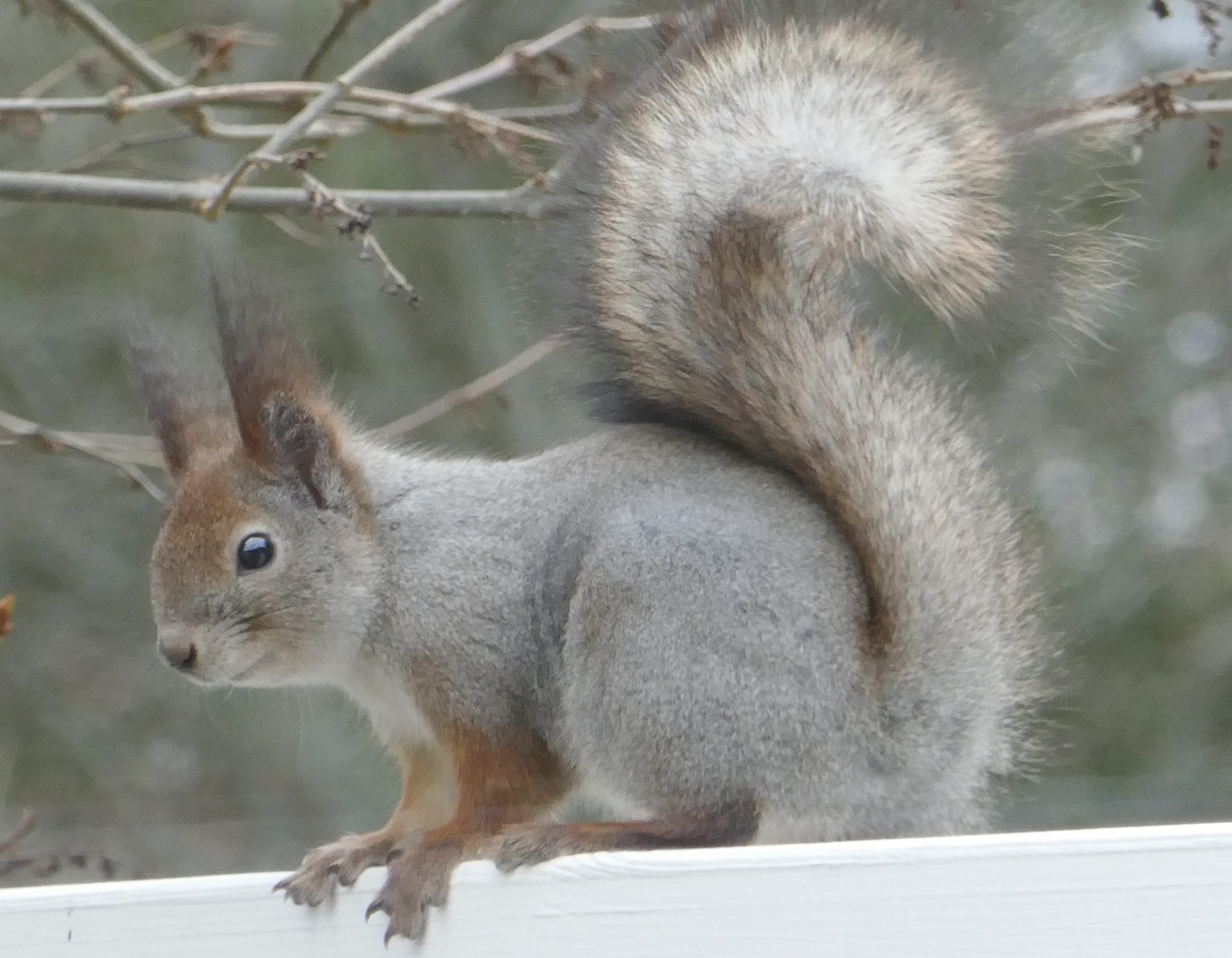 Valokuvaaja: Marjut Ikonen