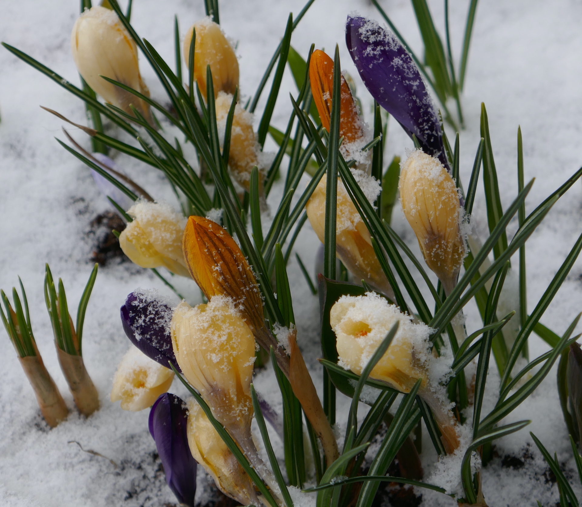 Valokuvaaja: Marjut Ikonen