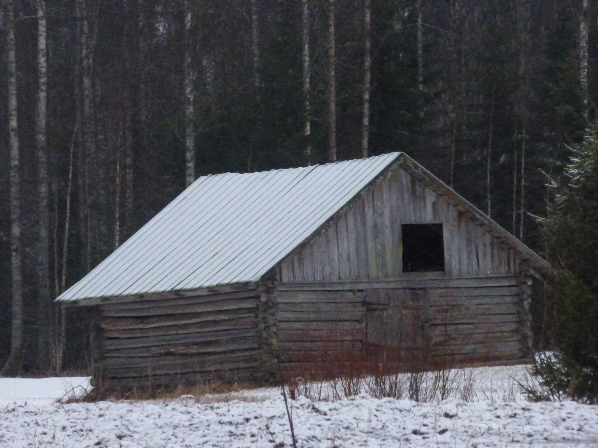 Valokuvaaja: Hannu Rissanen