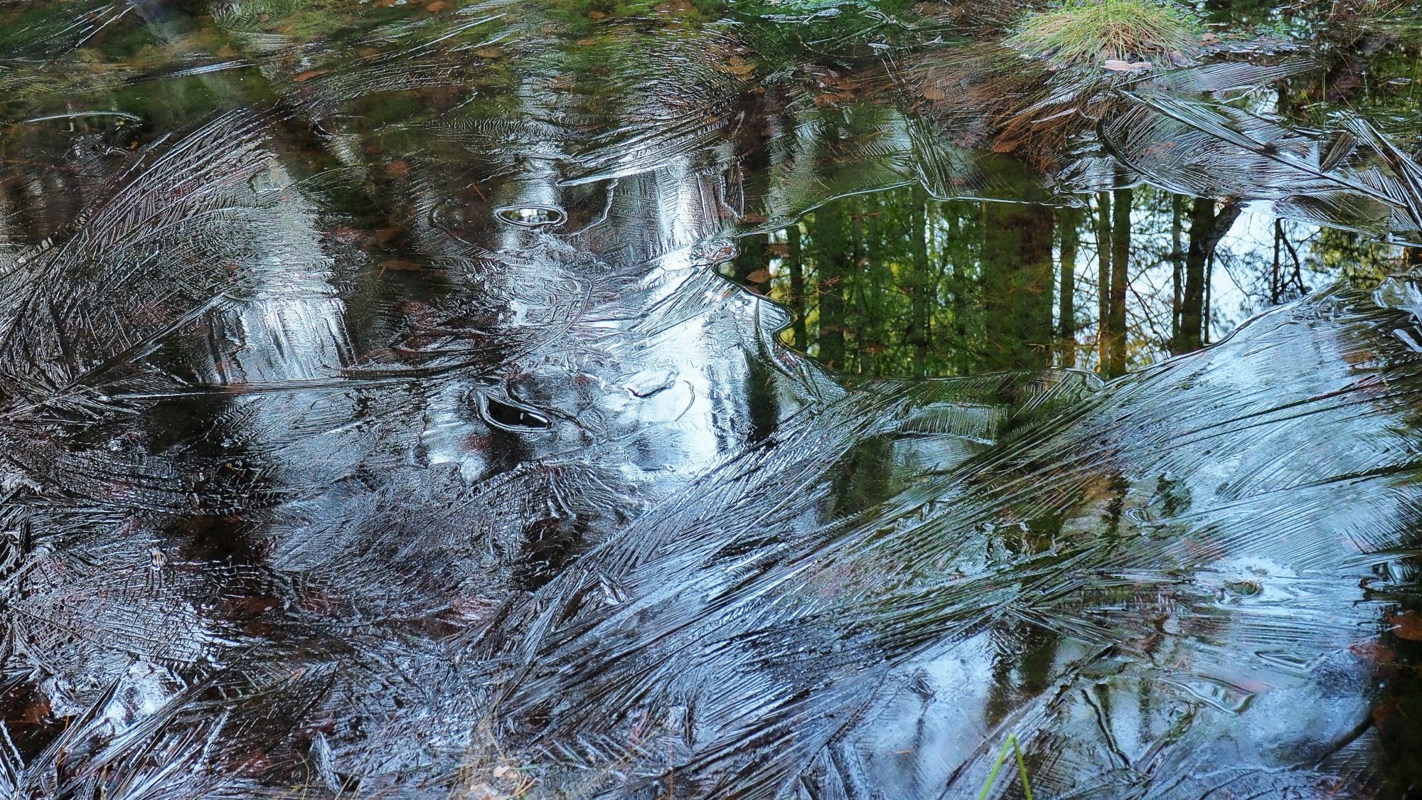 Valokuvaaja: Arja Valtonen