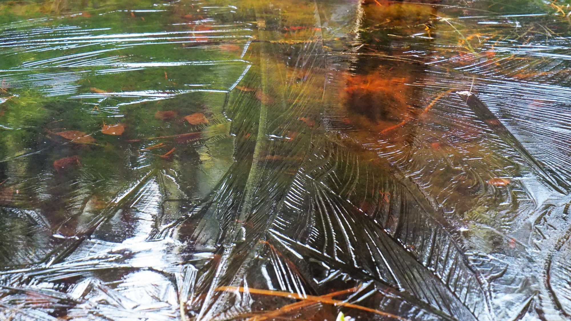 Valokuvaaja: Arja Valtonen