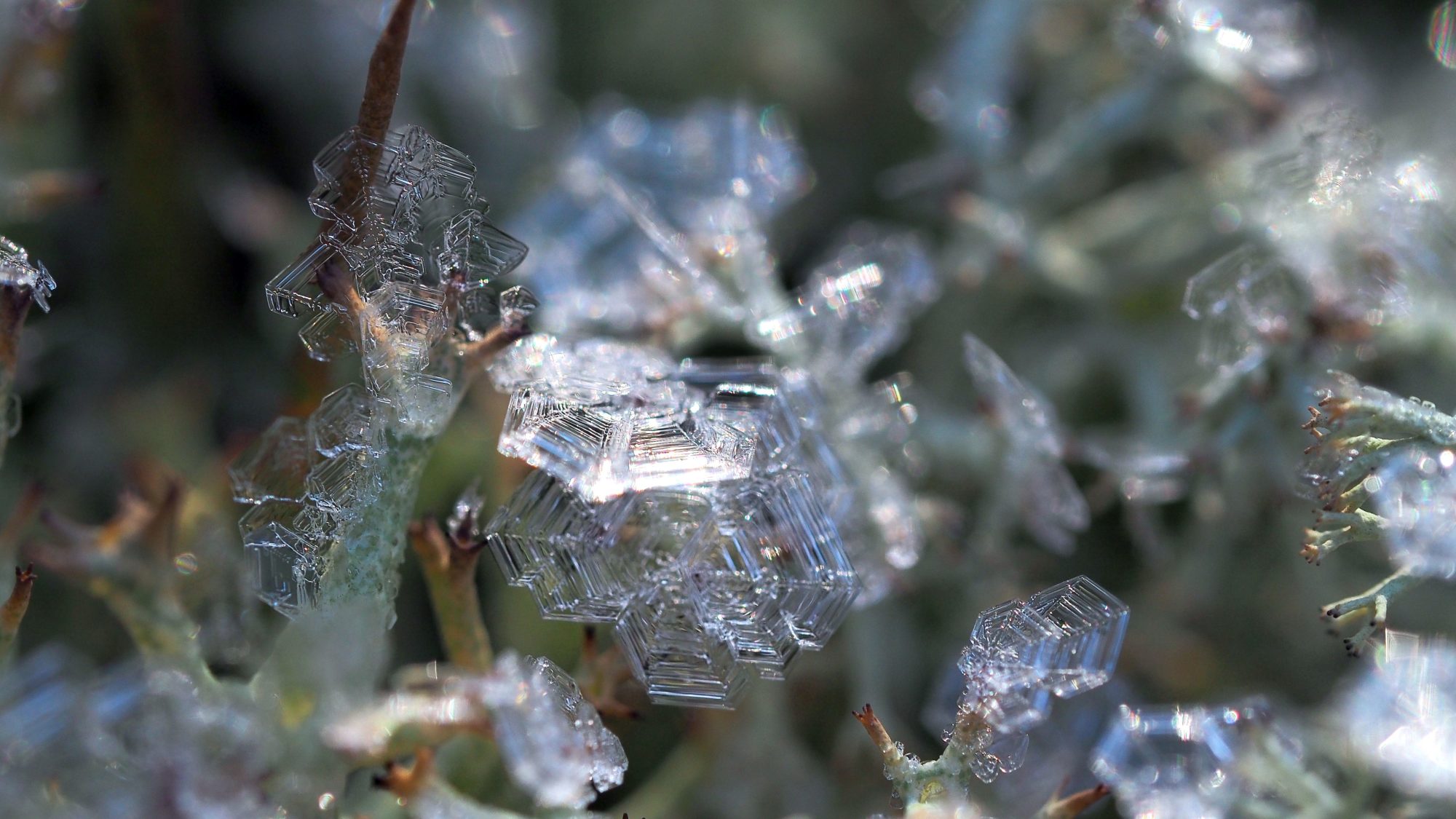 Valokuvaaja: Arja Valtonen