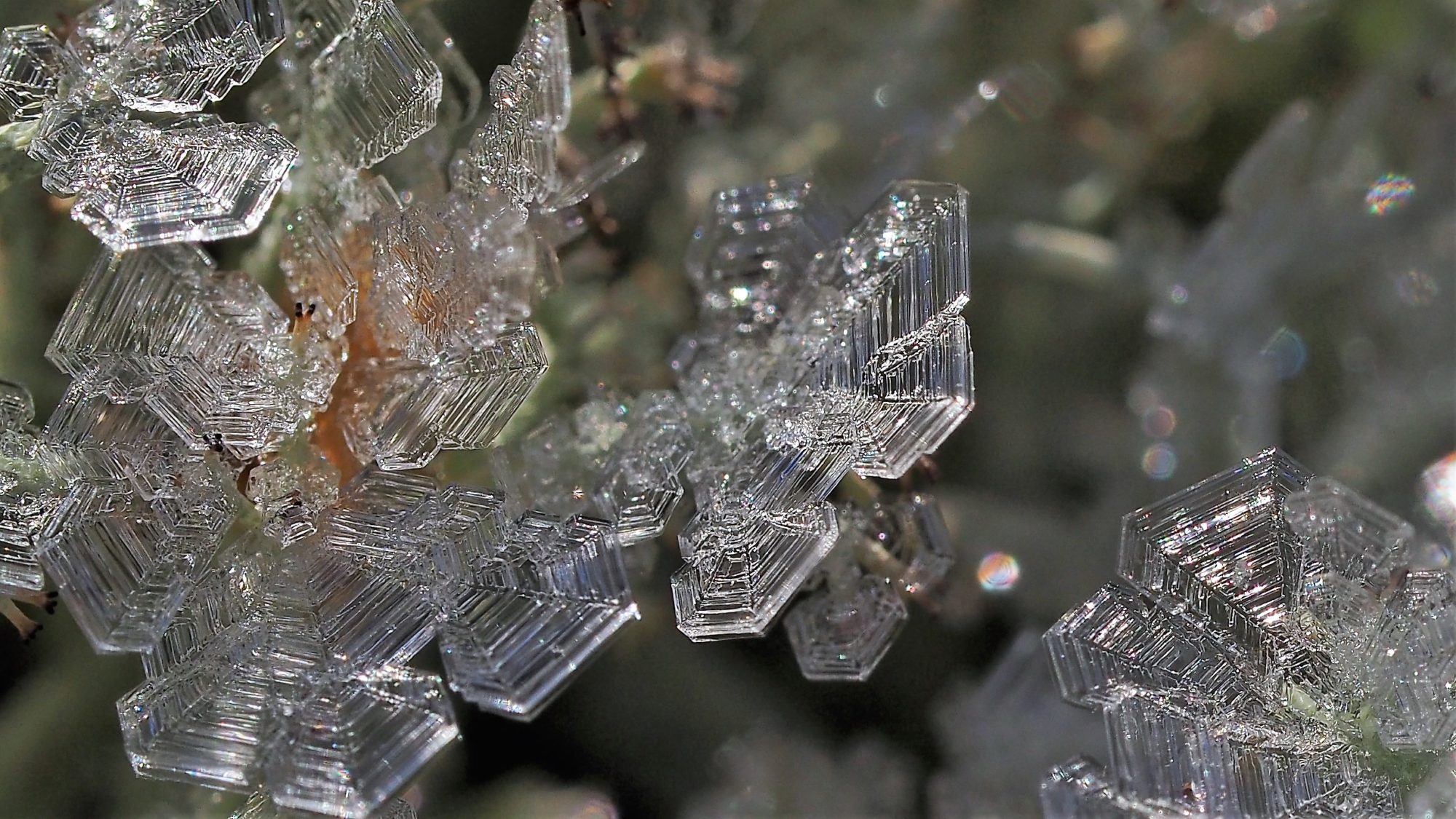 Valokuvaaja: Arja Valtonen