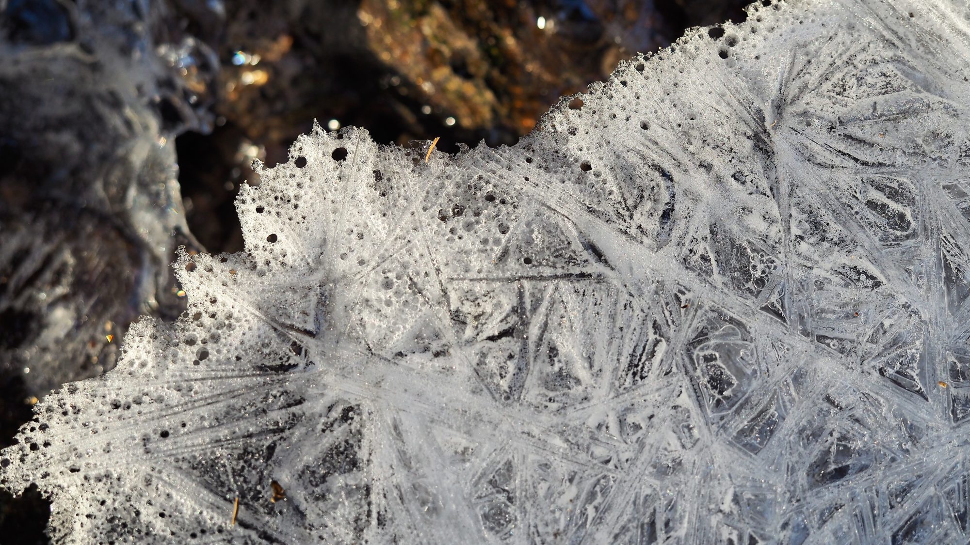 Valokuvaaja: Arja Valtonen Valokuvaaja: Arja Valtonen