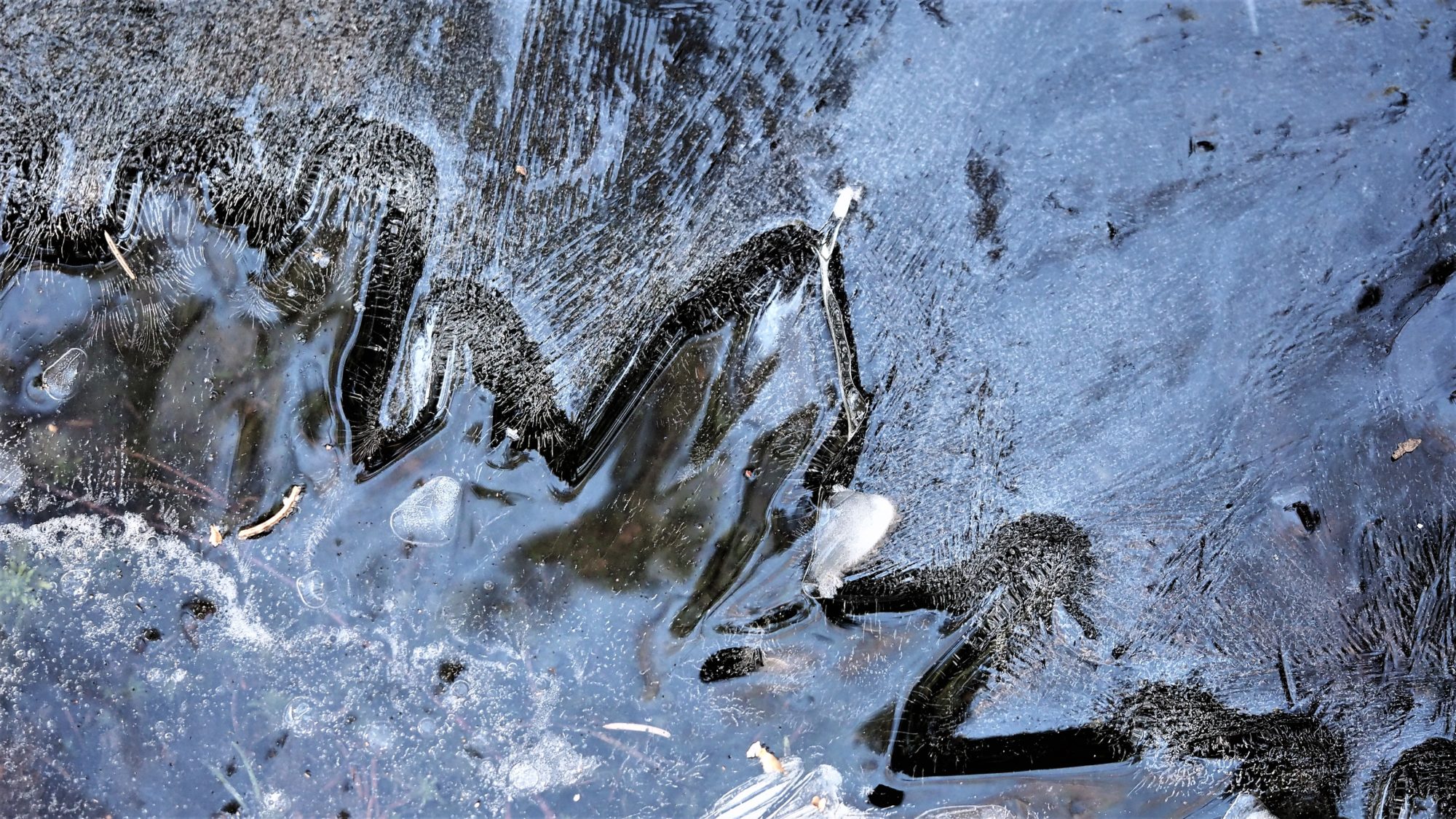 Valokuvaaja: Arja Valtonen Valokuvaaja: Arja Valtonen