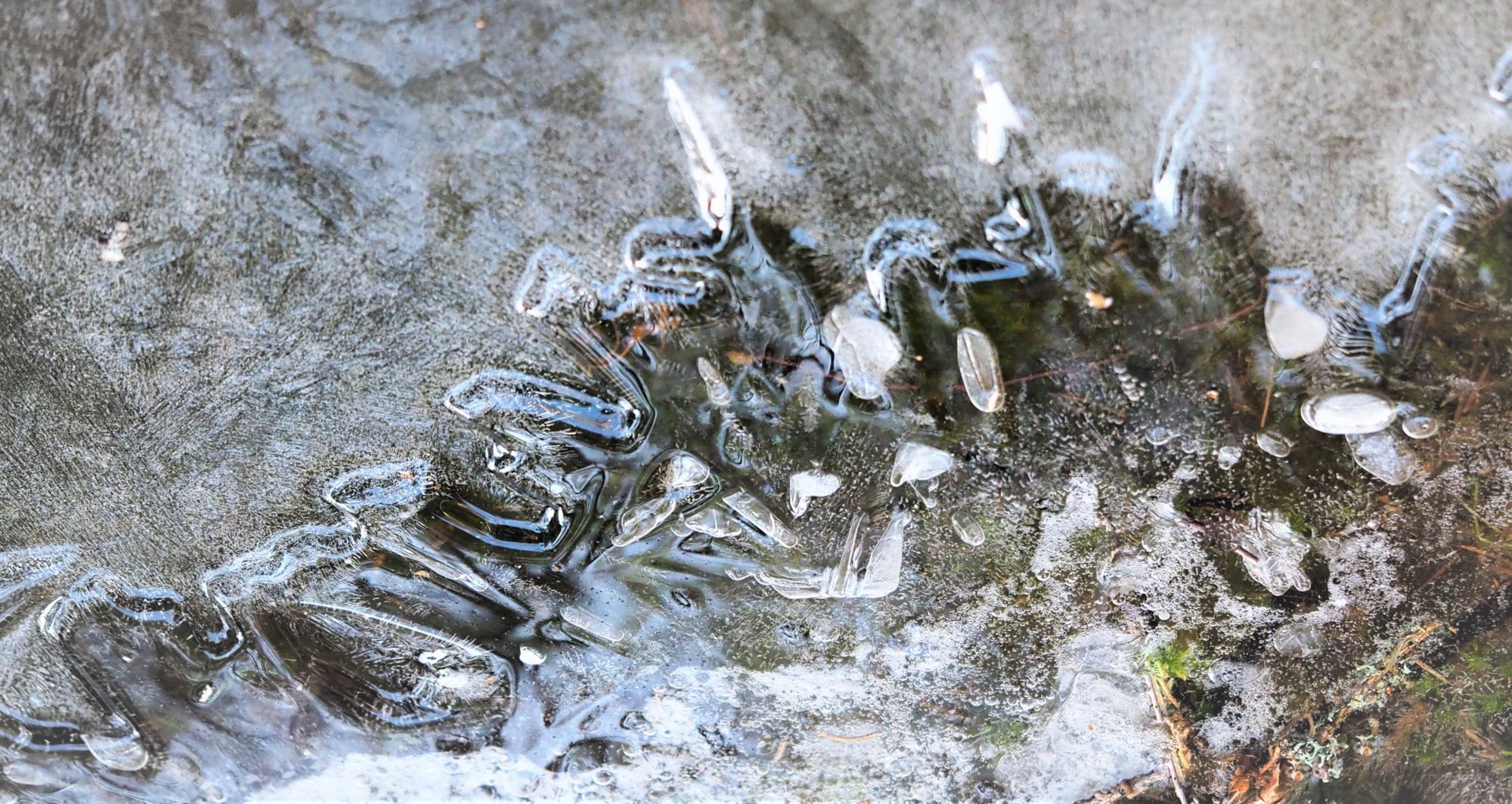 Valokuvaaja: Arja Valtonen