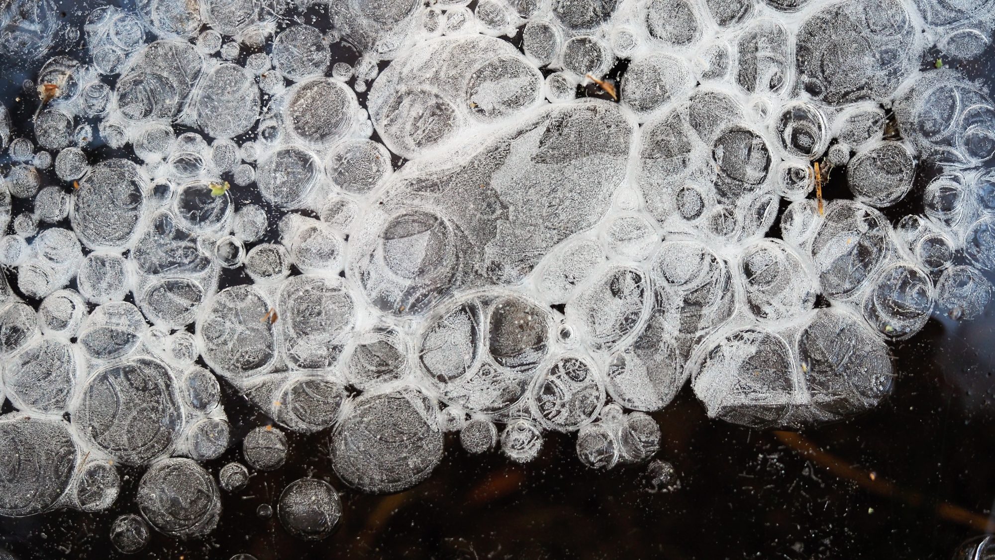 Valokuvaaja: Arja Valtonen