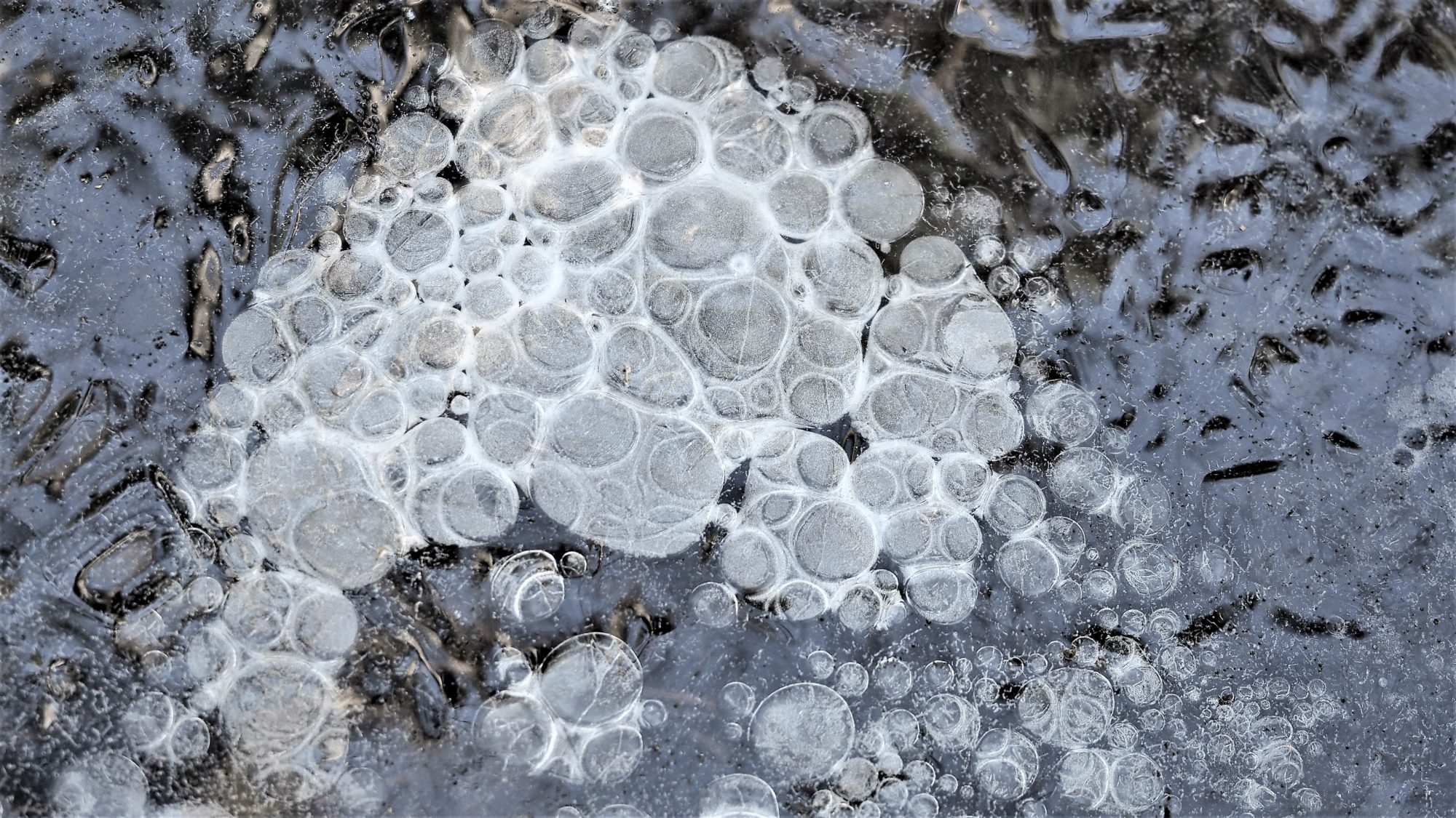 Valokuvaaja: Arja Valtonen