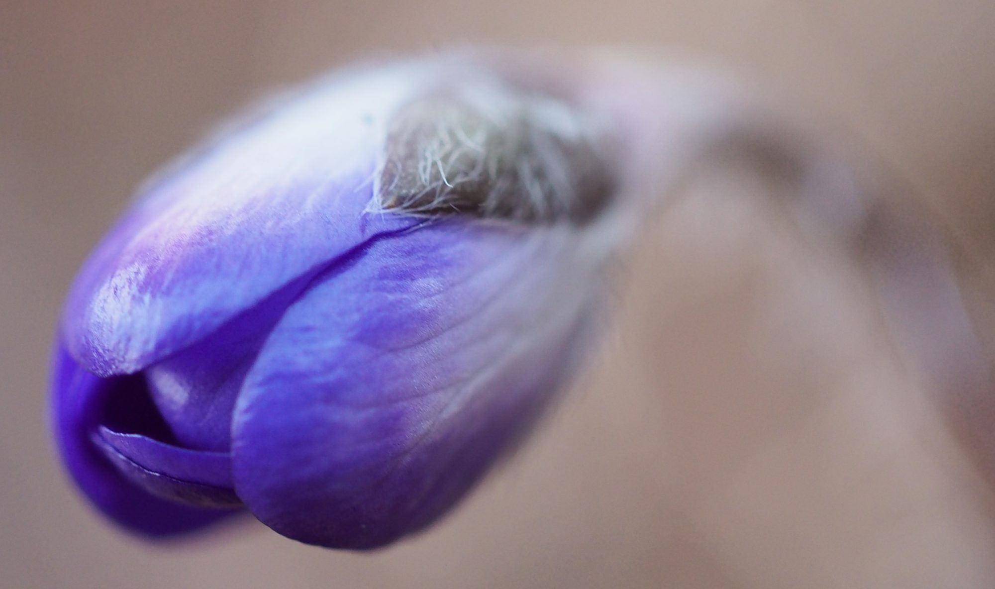 Valokuvaaja: Arja Valtonen