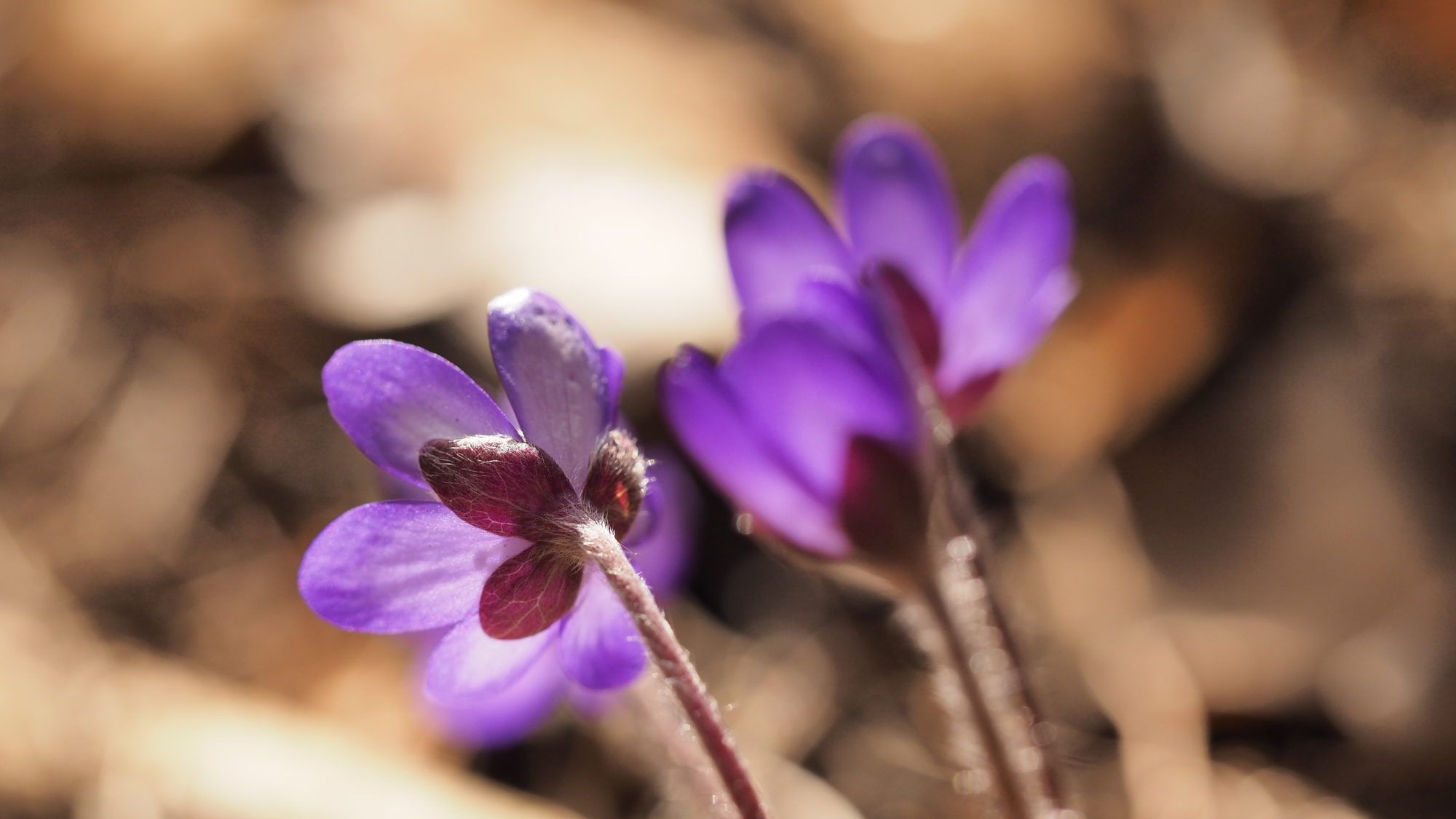 Valokuvaaja: Martti Valtonen