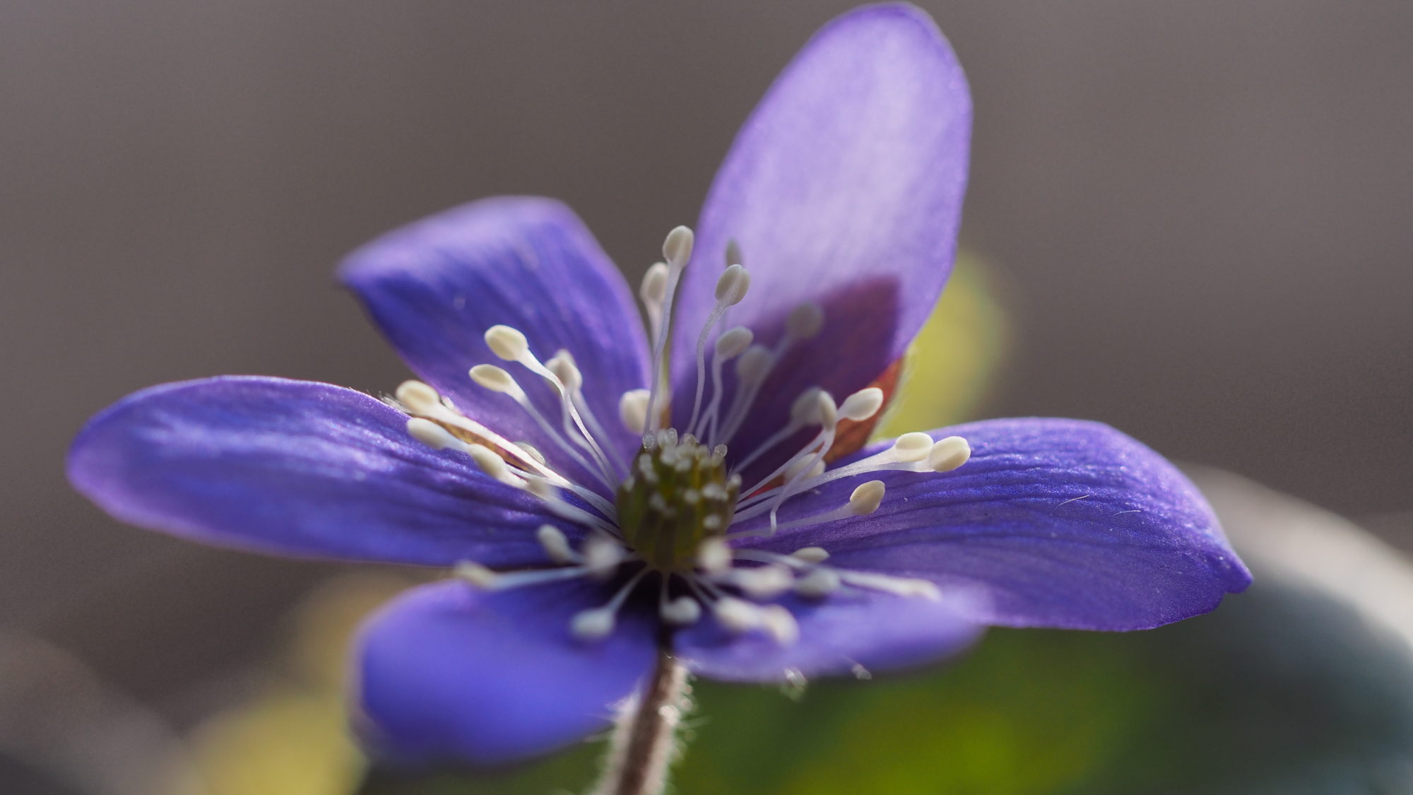 Valokuvaaja: Arja Valtonen