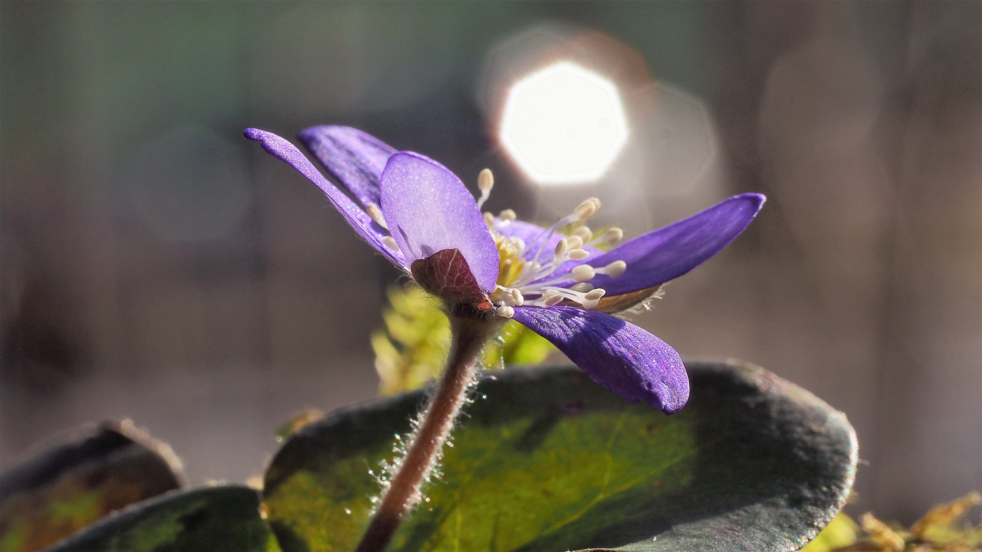 Valokuvaaja: Arja Valtonen