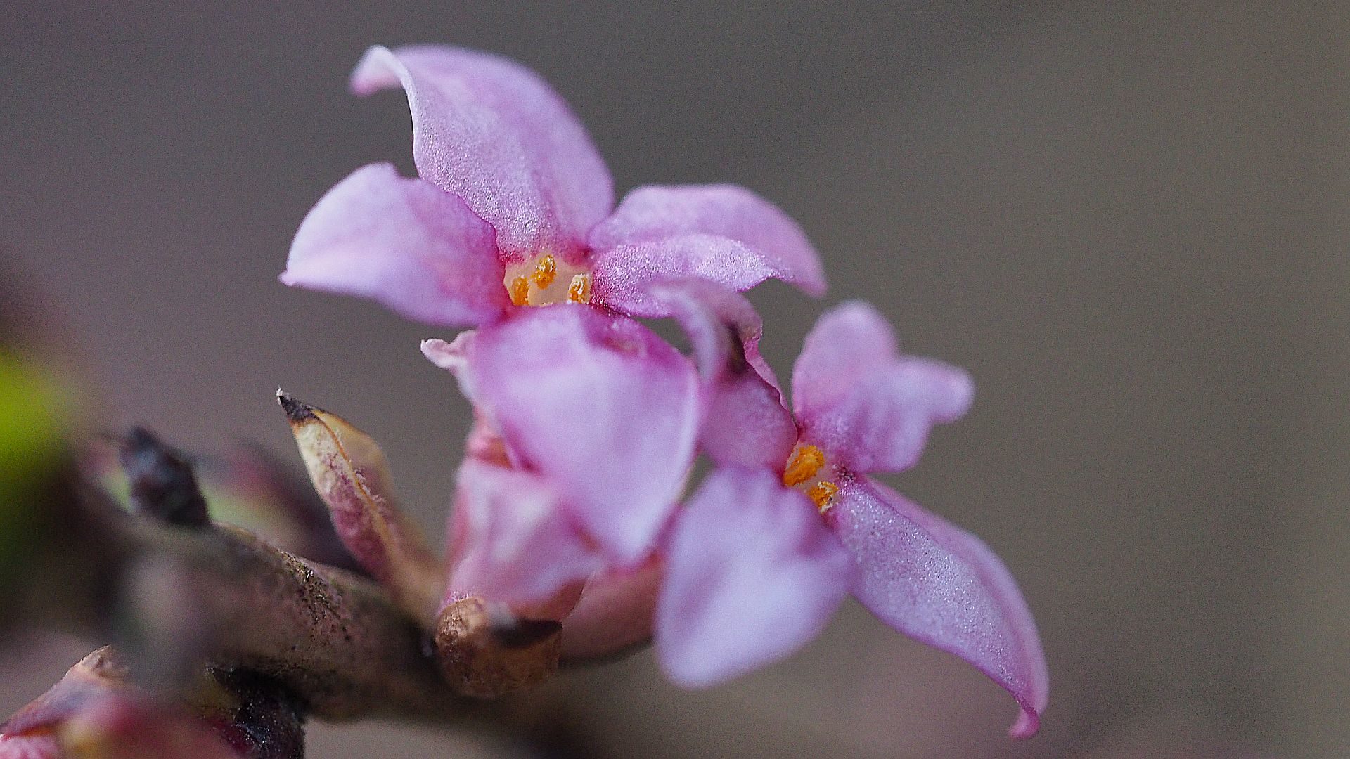 Valokuvaaja: Martti Valtonen