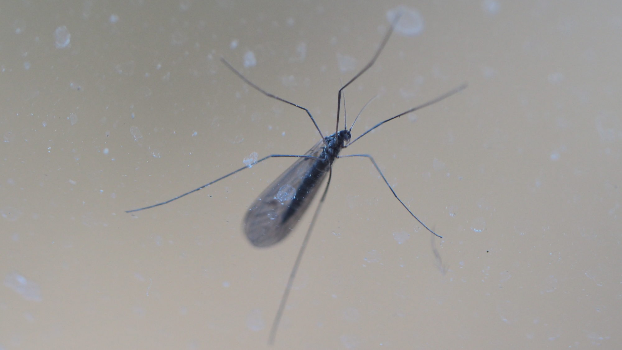 Valokuvaaja: Martti Valtonen