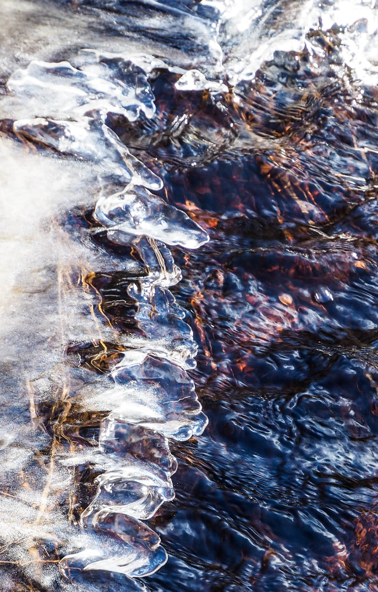 Valokuvaaja: Hannu Tikkanen Valokuvaaja: Hannu Tikkanen