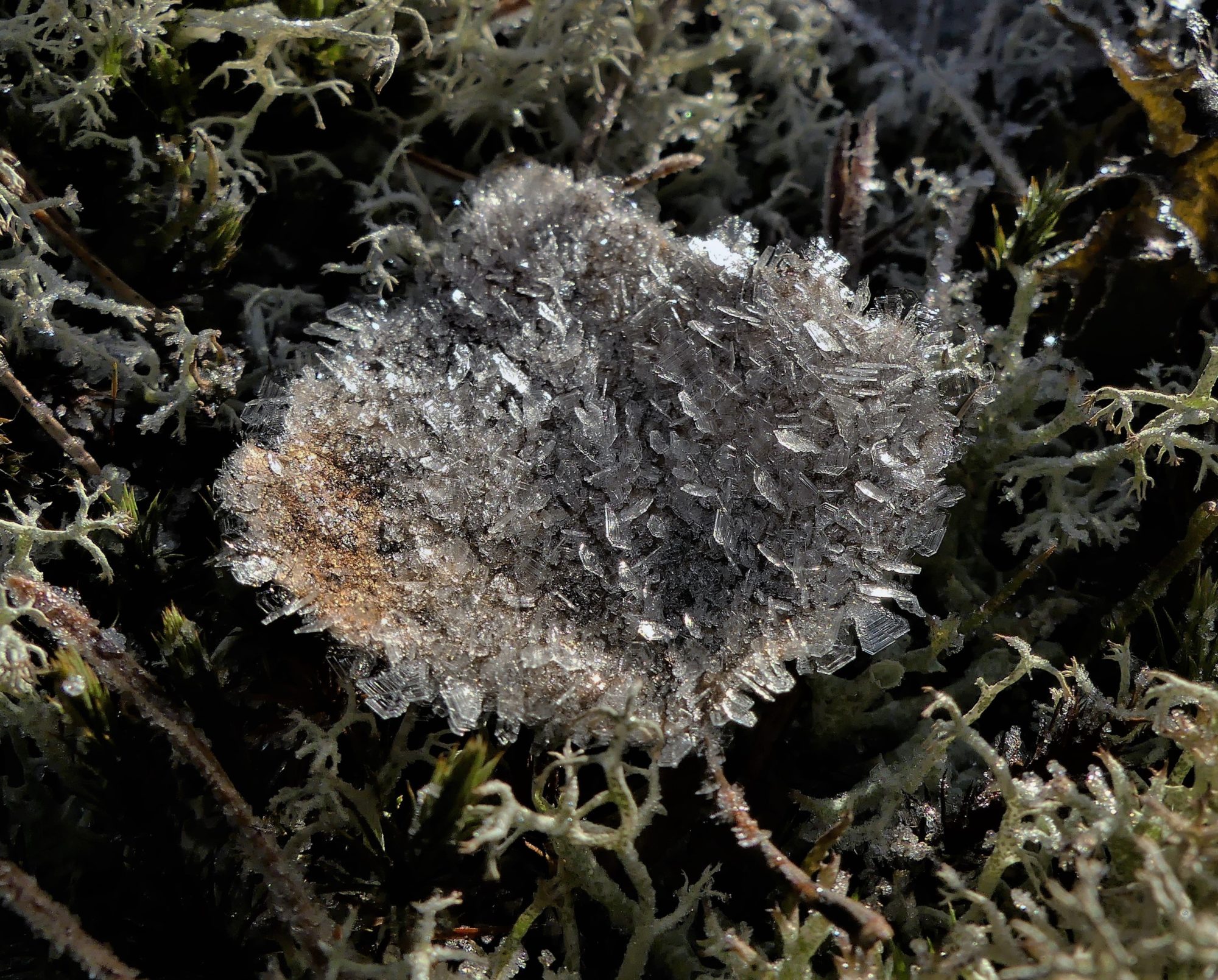 Valokuvaaja: Martti Valtonen