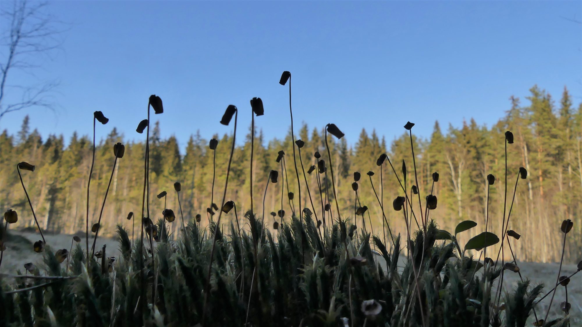 Valokuvaaja: Martti Valtonen