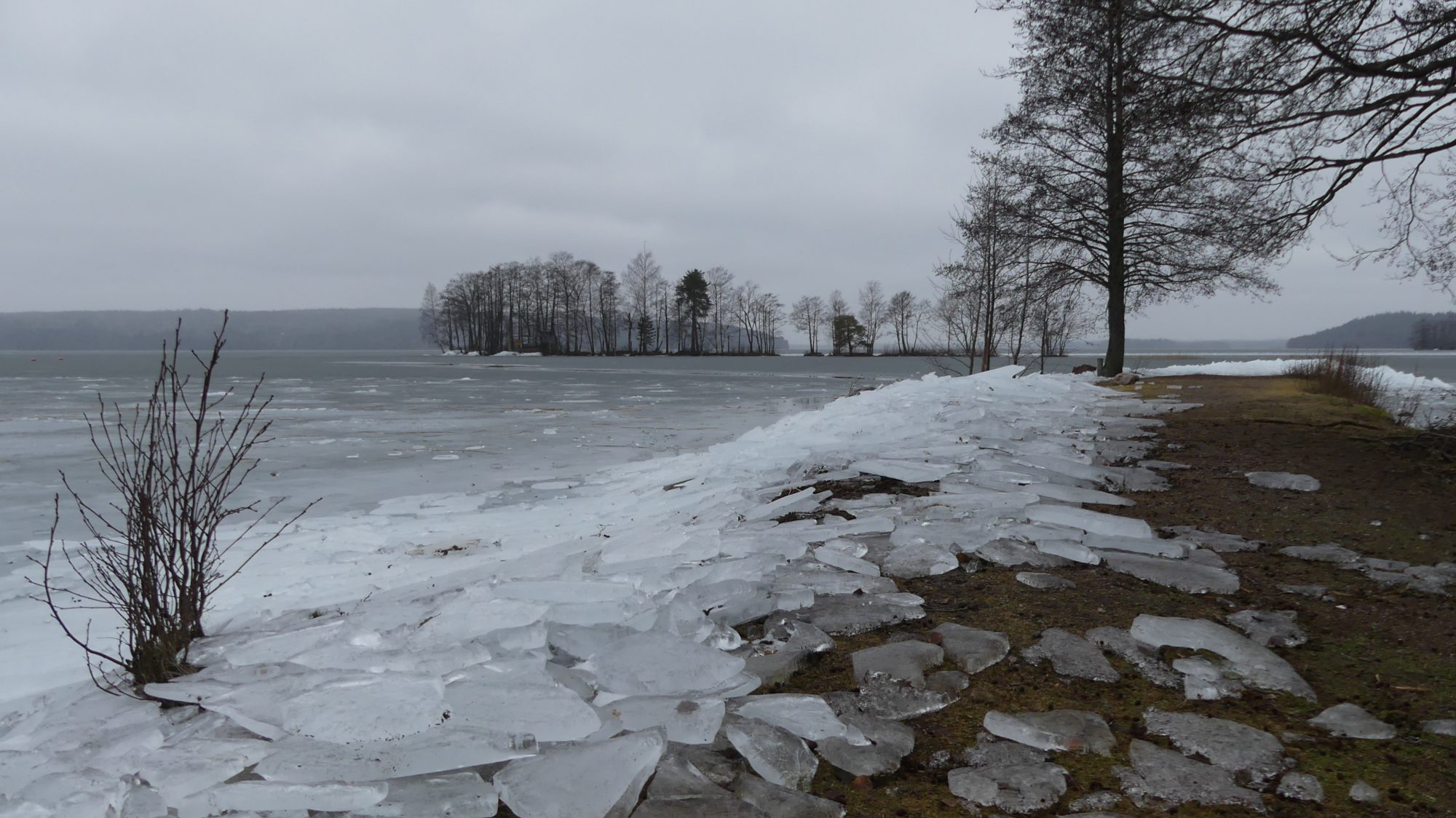 Valokuvaaja: Martti Valtonen