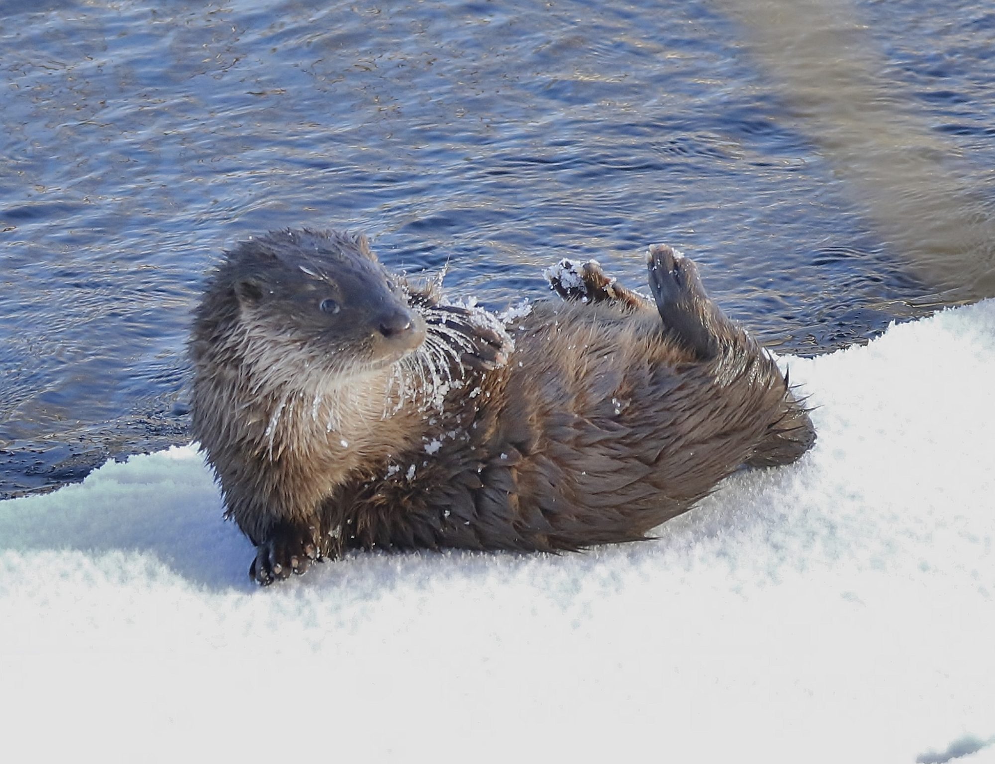 Valokuvaaja: Tuula Pirnes