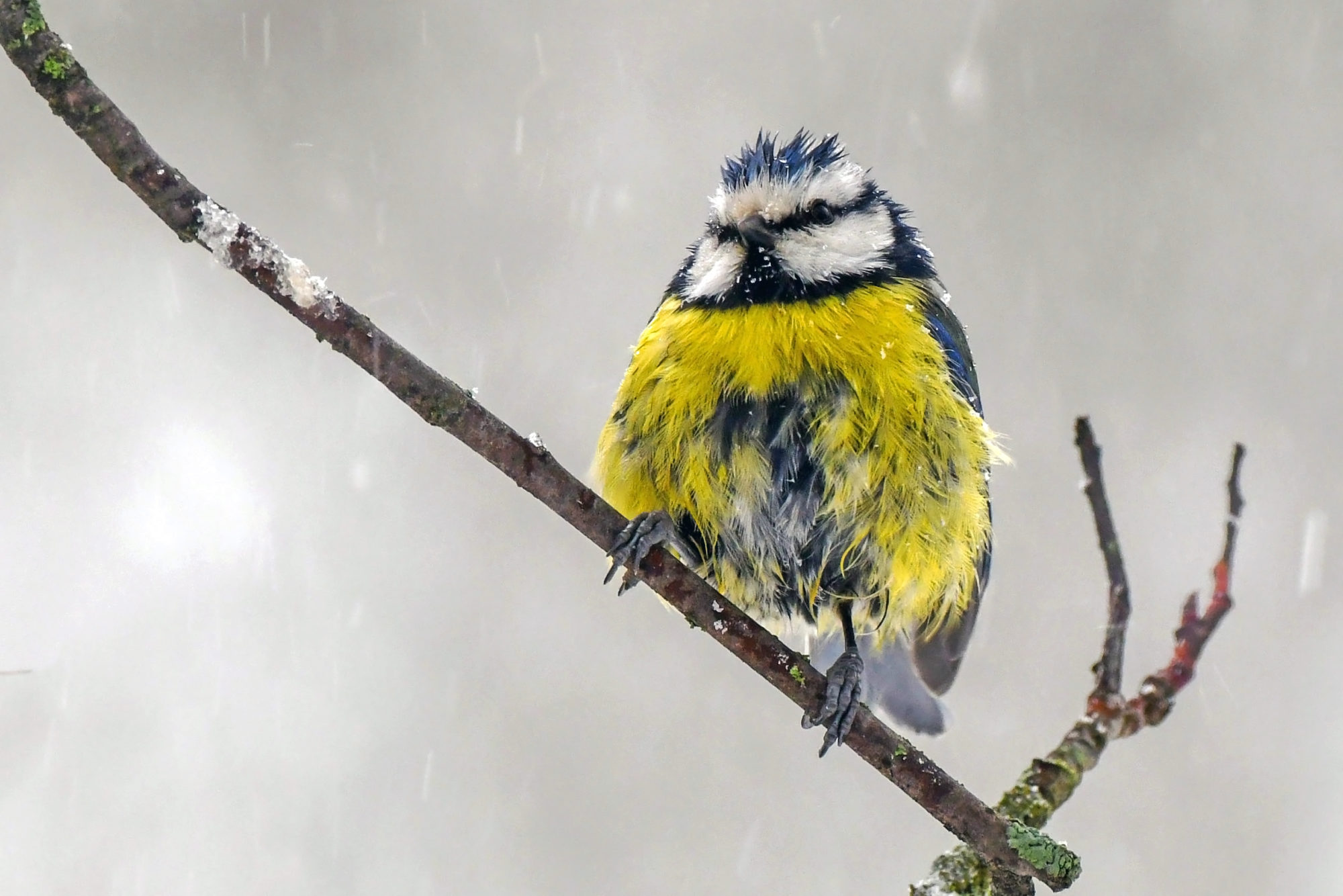 Valokuvaaja: Esko Pihl