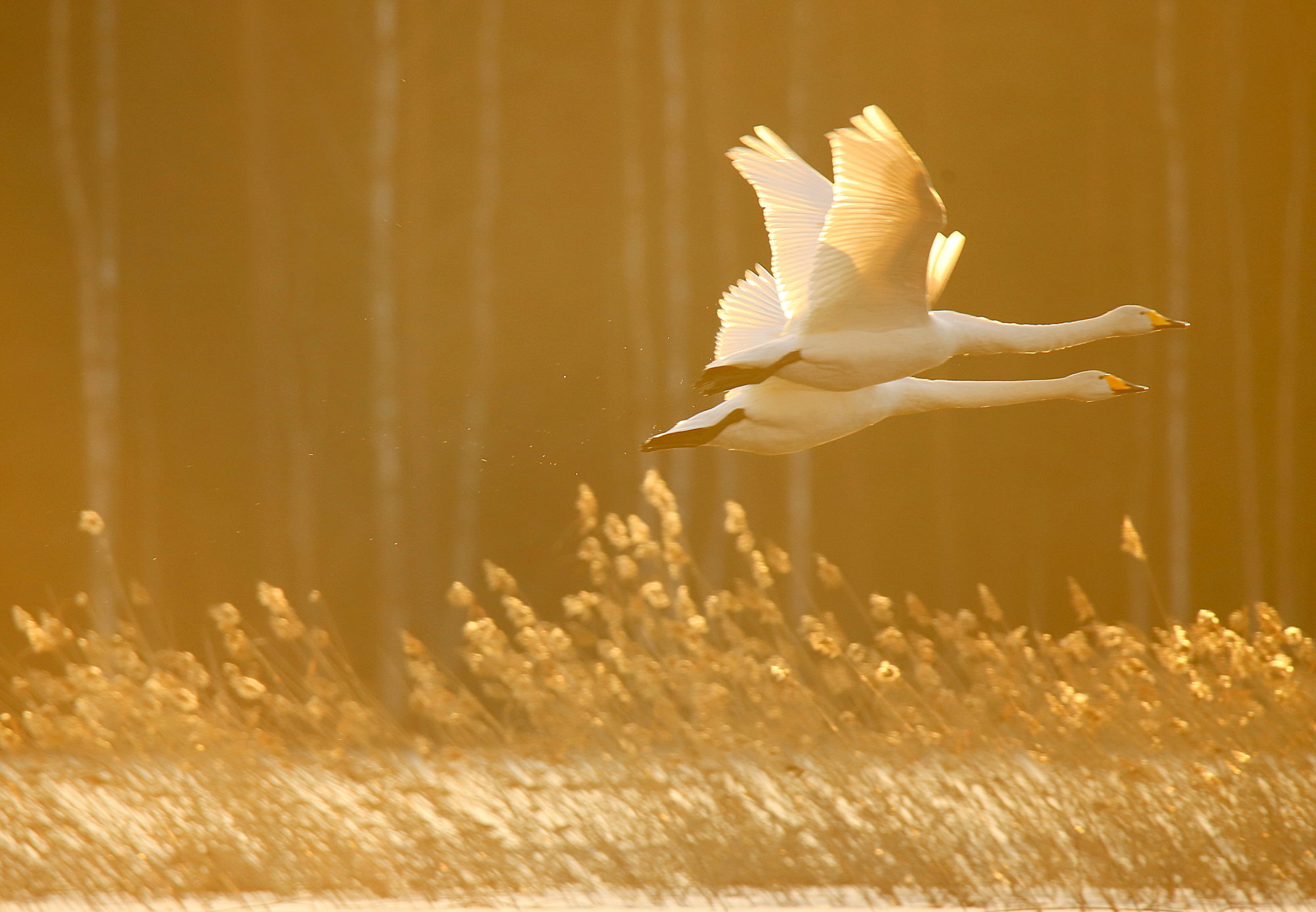Valokuvaaja: sirpa Jyske