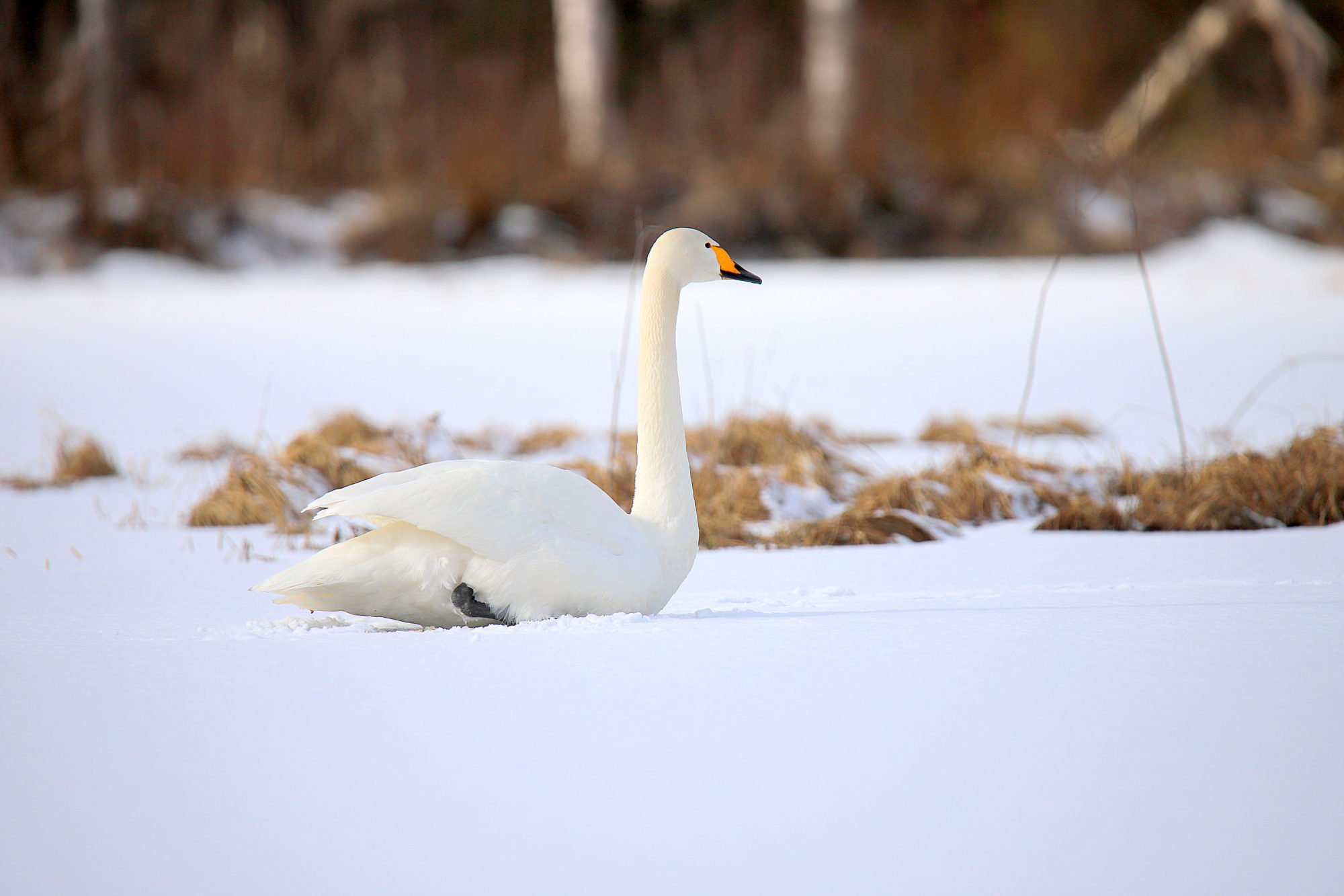 Valokuvaaja: sirpa Jyske