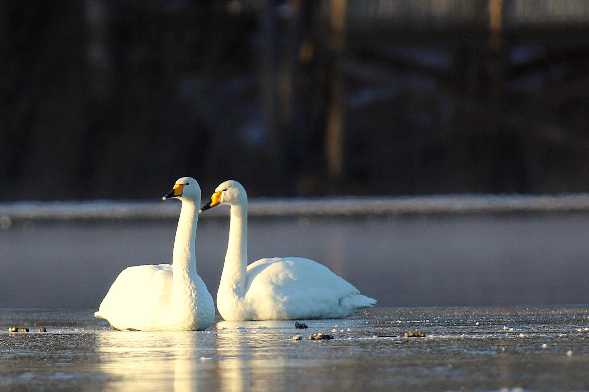 Valokuvaaja: sirpa jyske