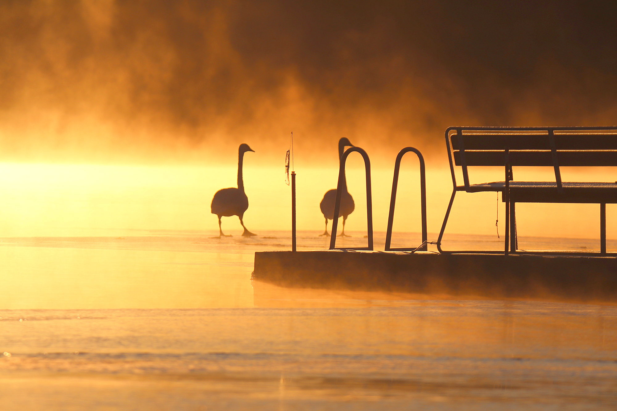 Valokuvaaja: sirpa jyske