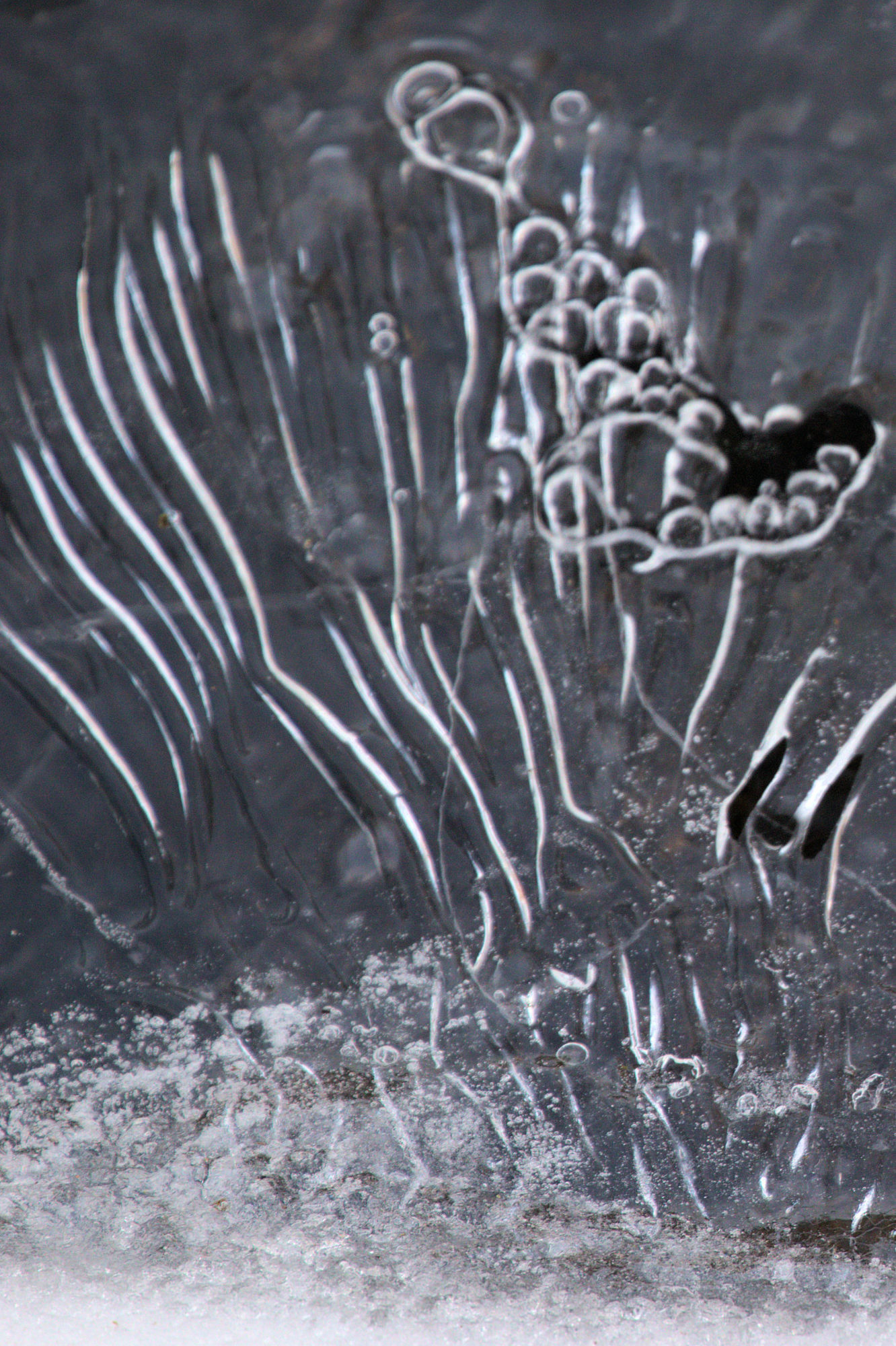 Valokuvaaja: Ahti Keränen